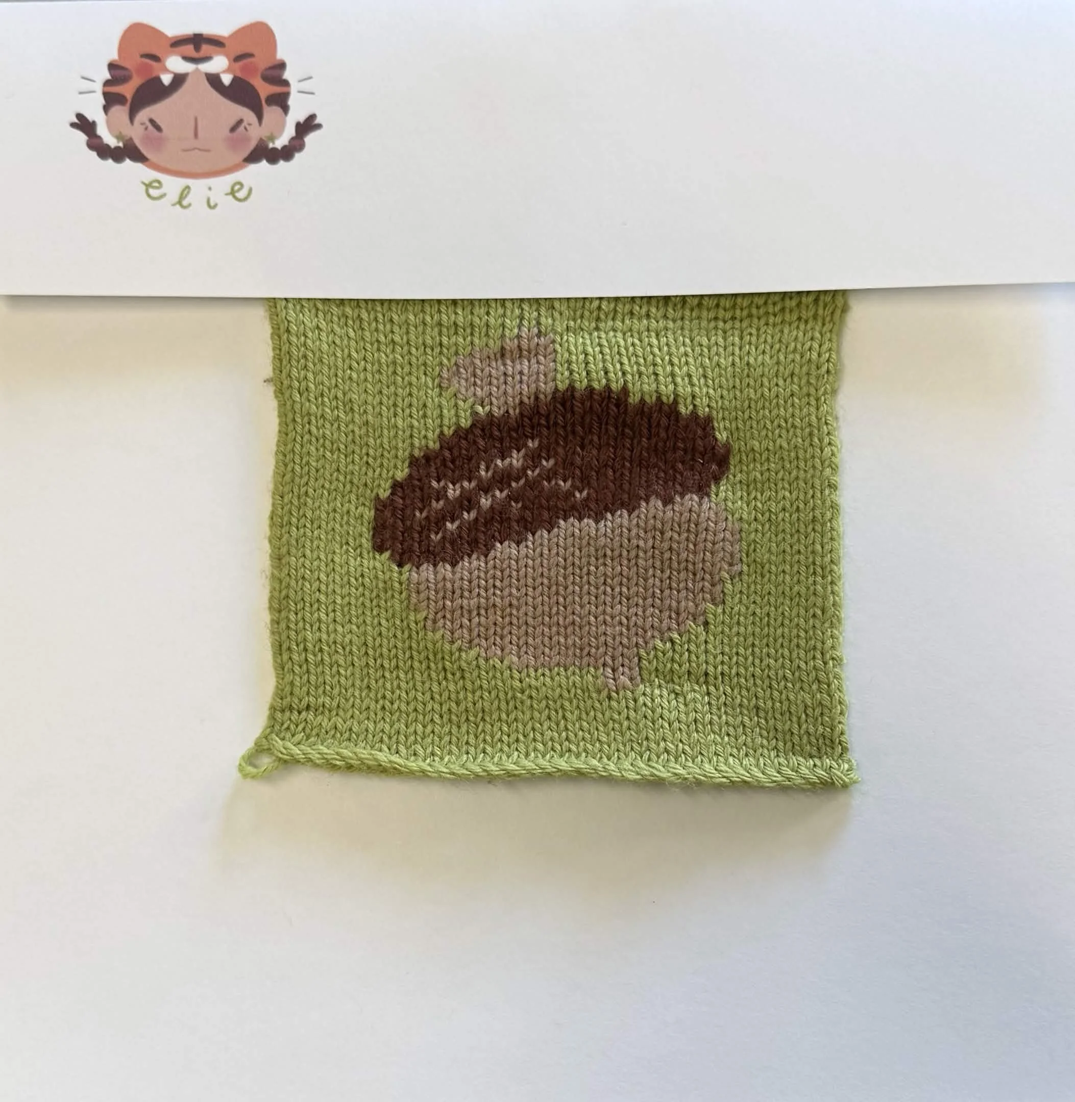 acorn.jpg