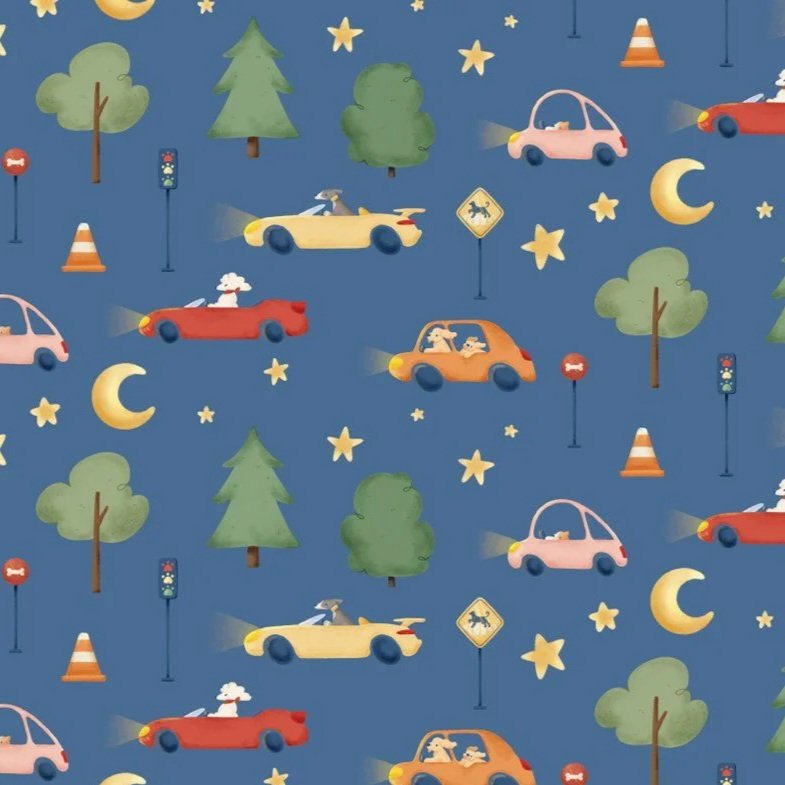 Zoomin' to Sleep