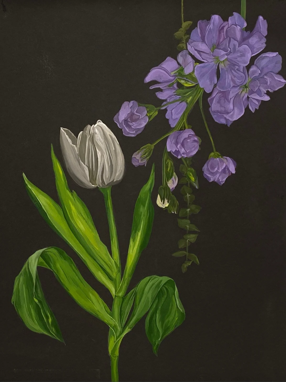 Flores a Medianoche