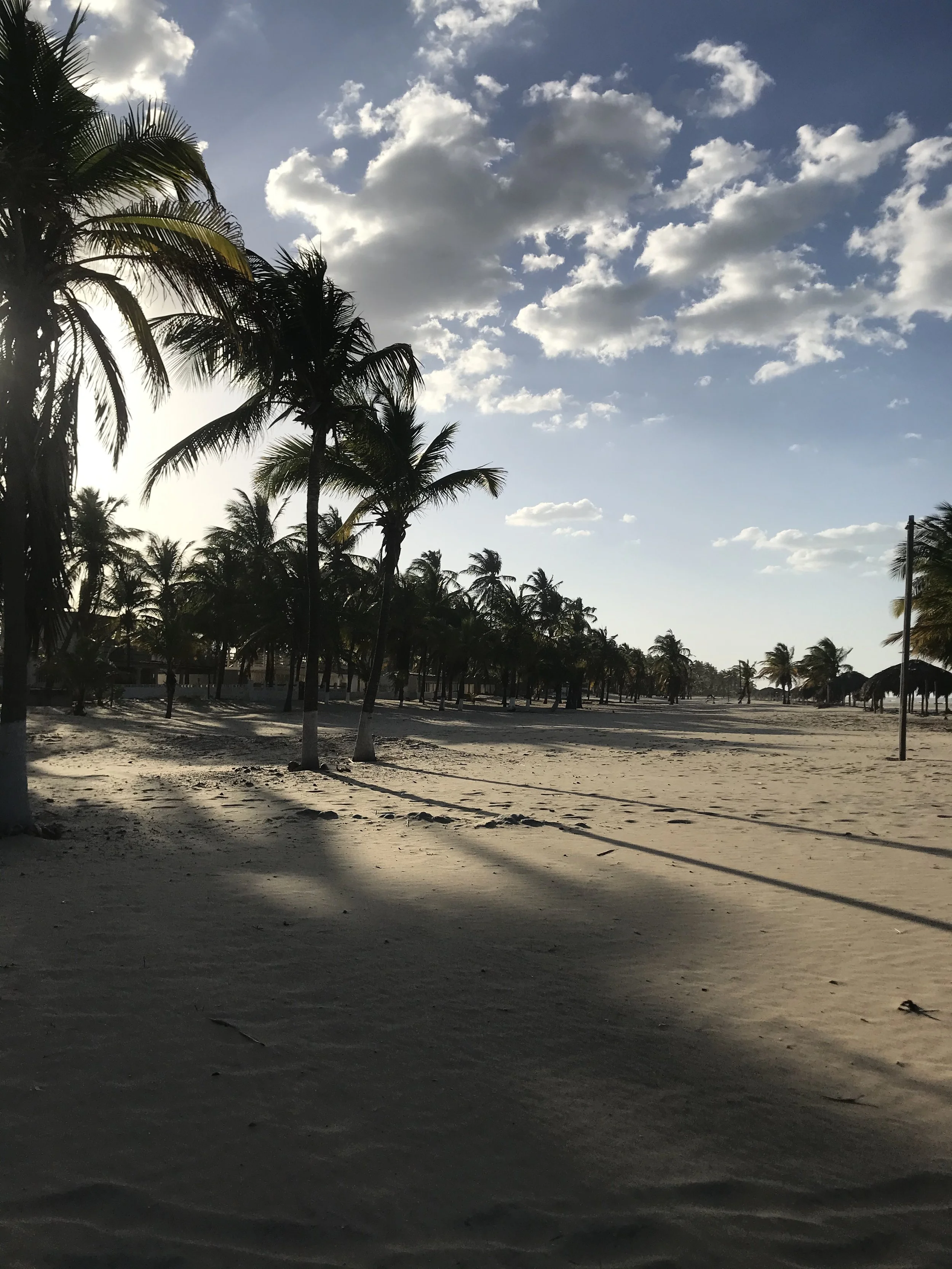 IMG_0405.jpeg