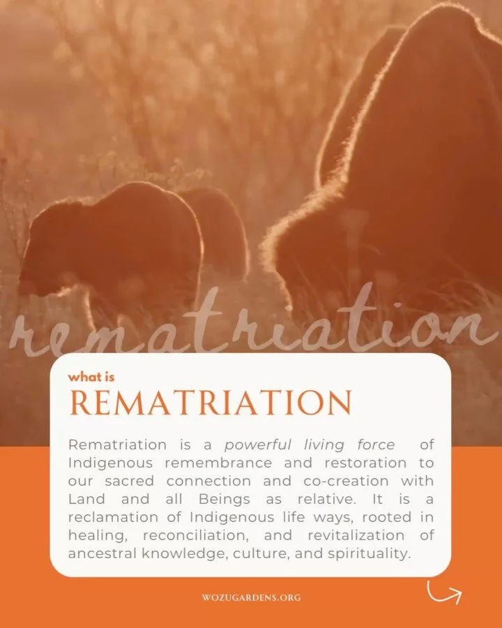 Rematriation is a powerful living force of Indigenous remembrance and restoration to our sacred connection and co-creation with Land and all Beings as relative and it is a core value and the innately living movement in the creation of W&oacute;žu and