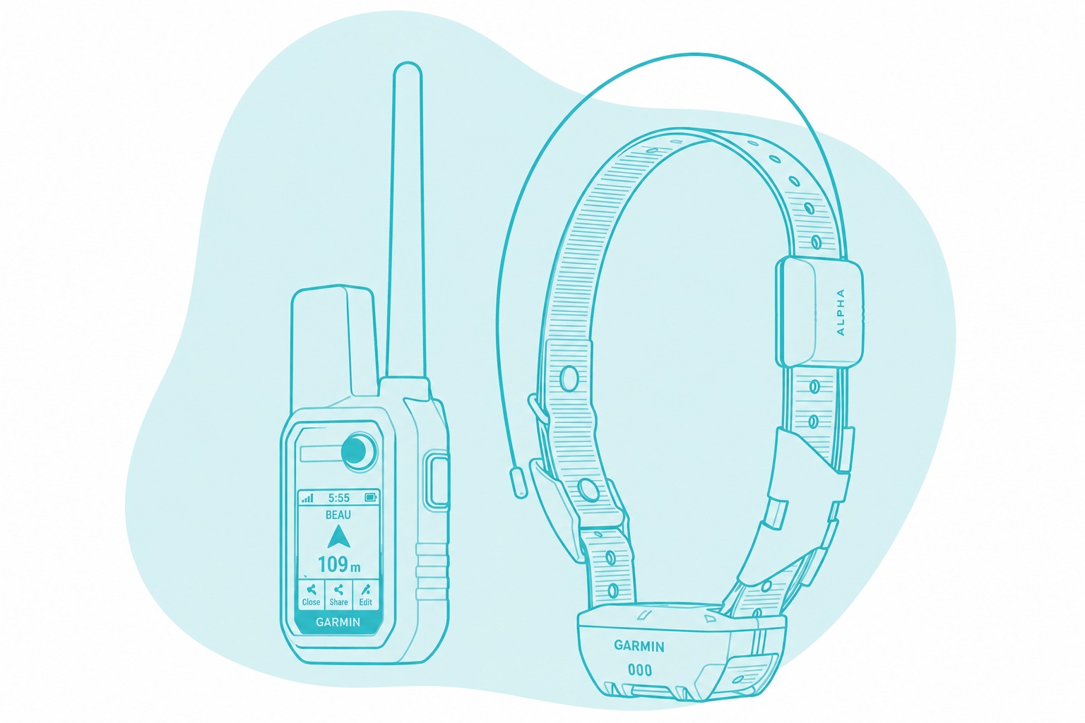 Garmin GPS Handheld and T20 Collar