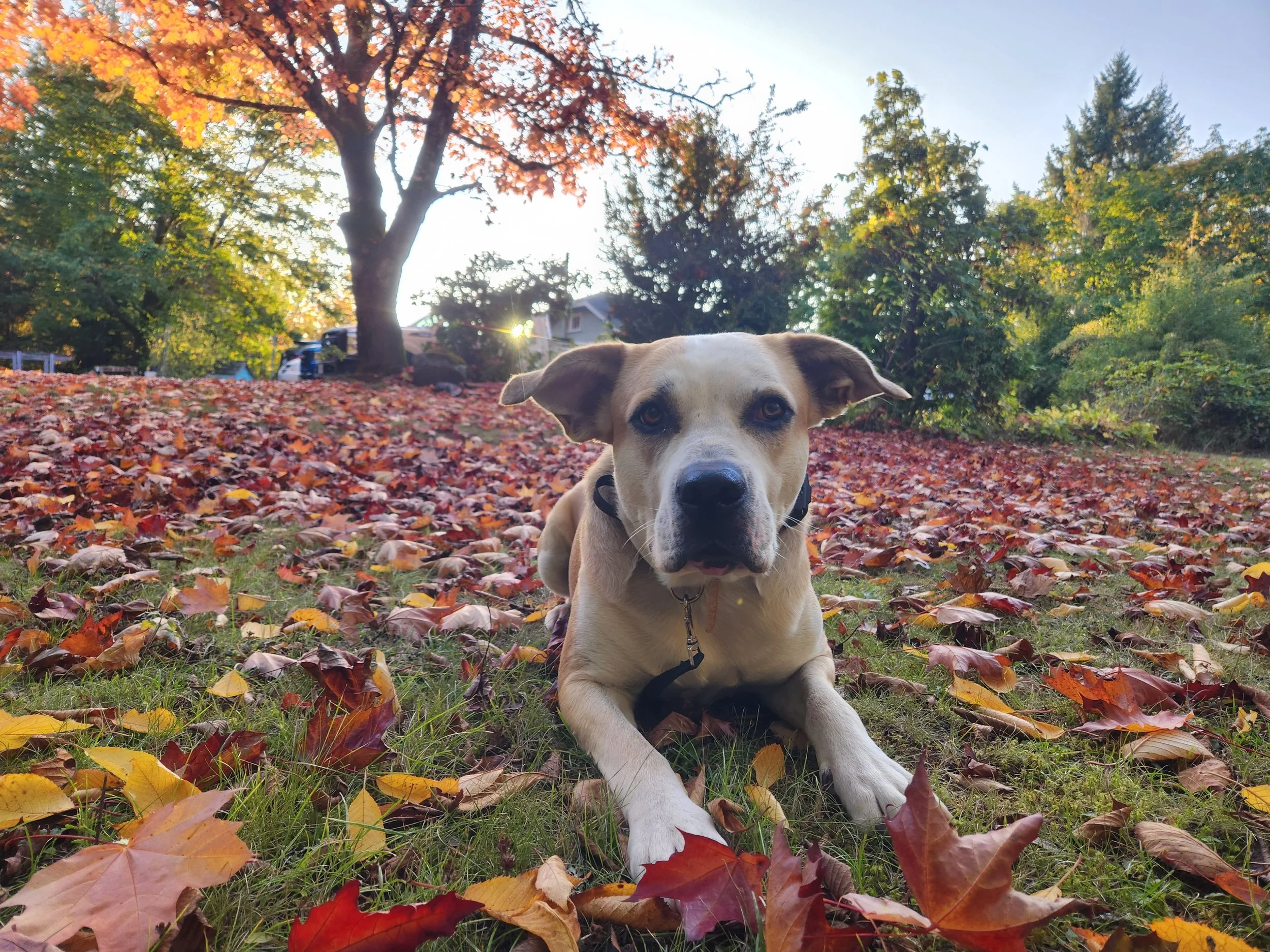20230929_181500.jpg