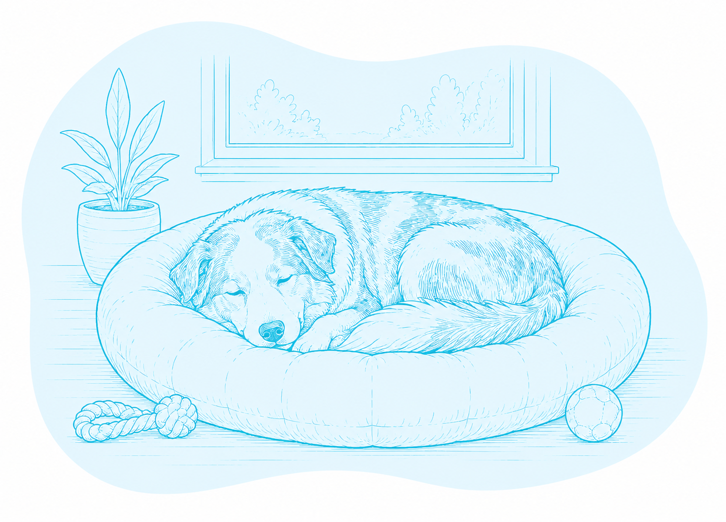 A dog rests curled up in a donut bed with toys on the floor around him