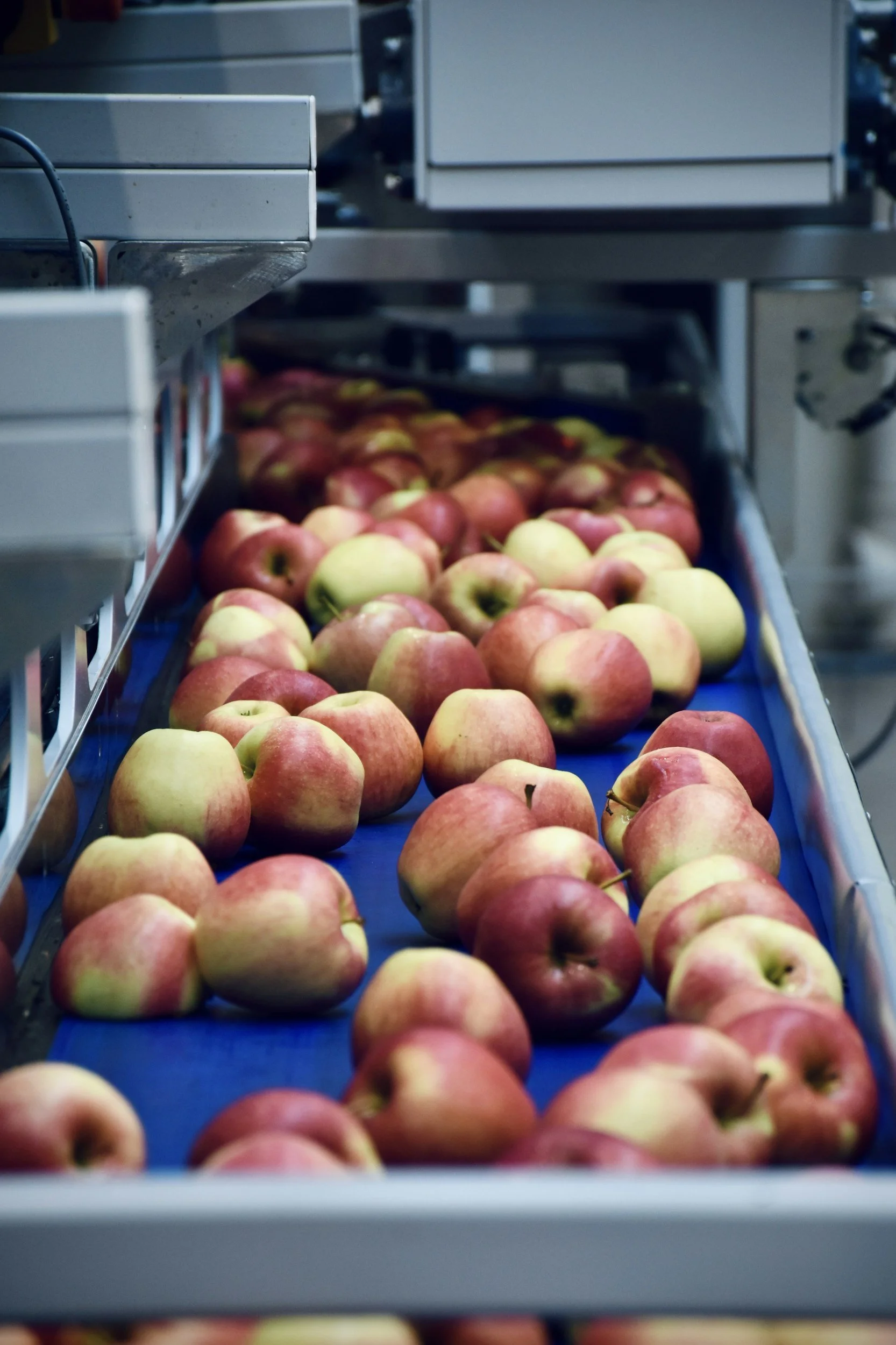 Food Manufacturing Case Study