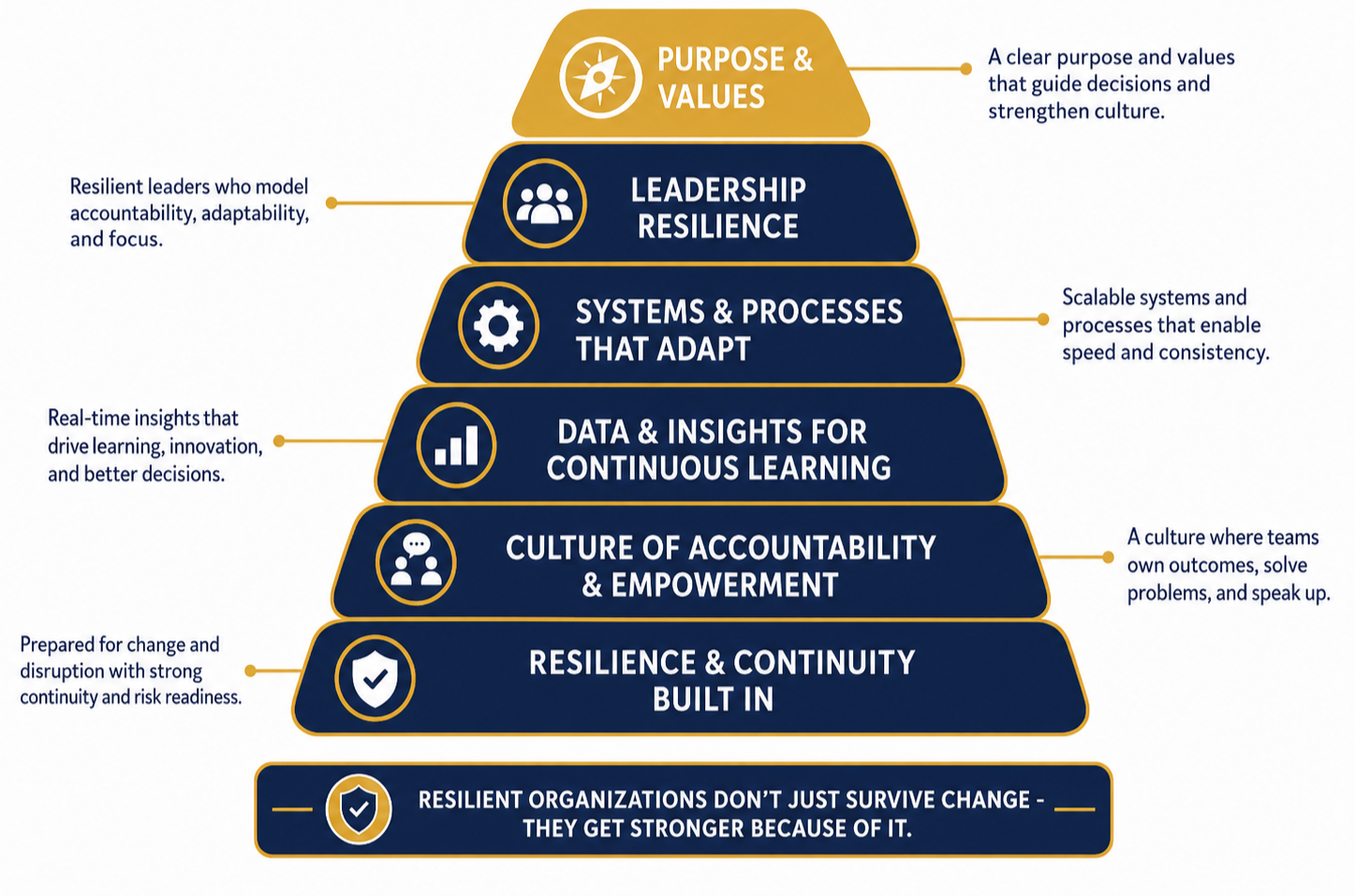 Infographic illustrating the components of resilient organizations, including Purpose & Values, Leadership Resilience, Systems & Processes That Adapt, Data & Insights for Continuous Learning, Culture of Accountability & Empowerment, and Resilience & Continuity Built In, with brief descriptions and icons for each component.