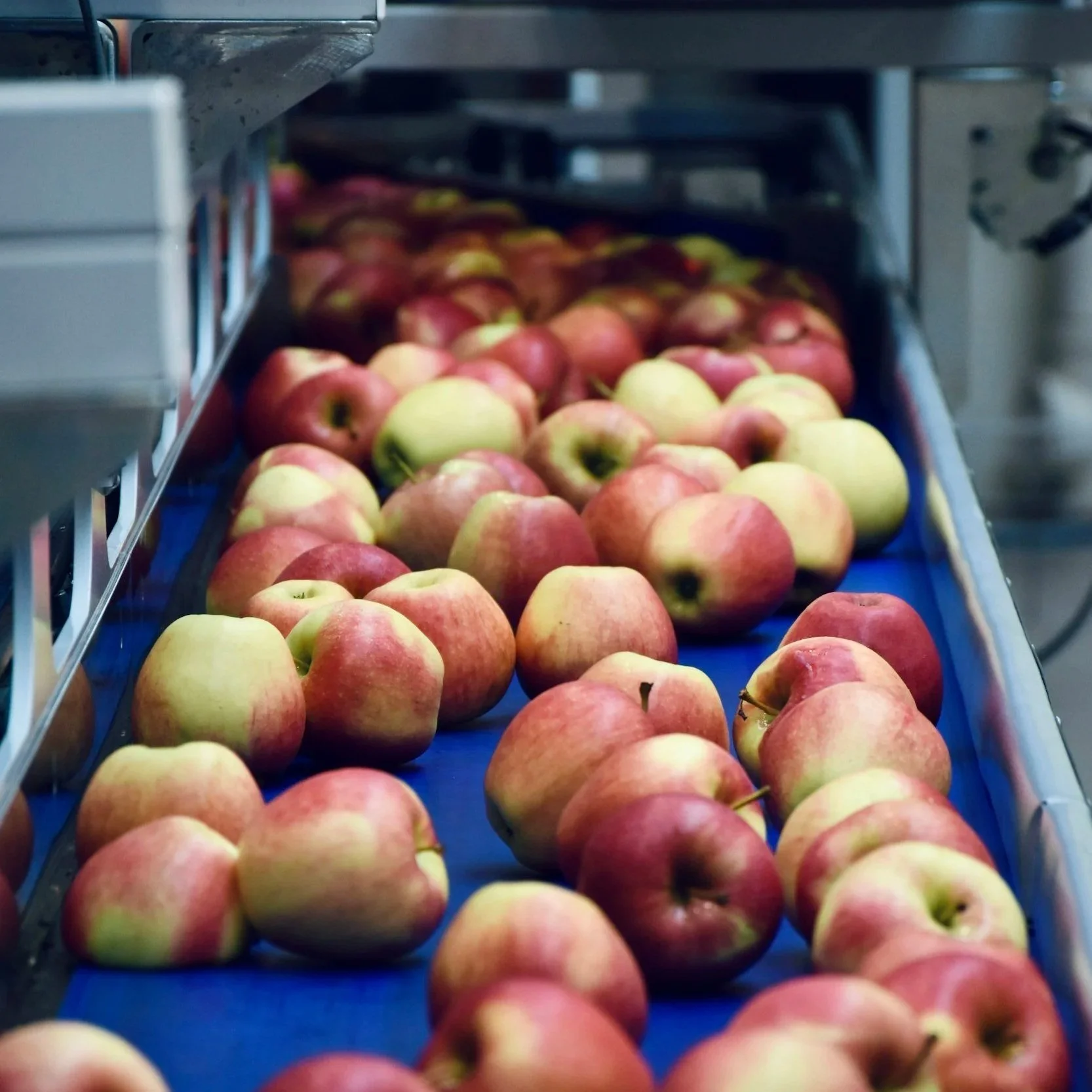 How a Food Manufacturer Increased EBITDA from $3.2 Million to $6.4 Million While Building a Transaction-Ready Organization