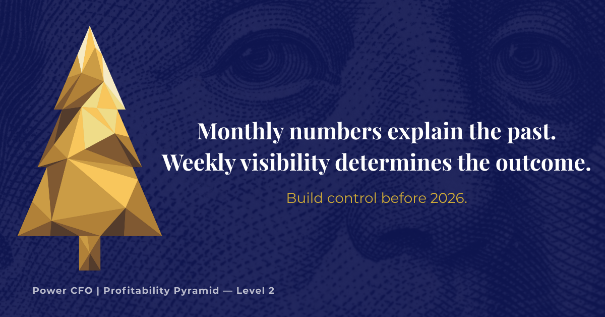 Business financial planning dashboard showing weekly cash visibility, financial control, and Profitability Pyramid reporting.