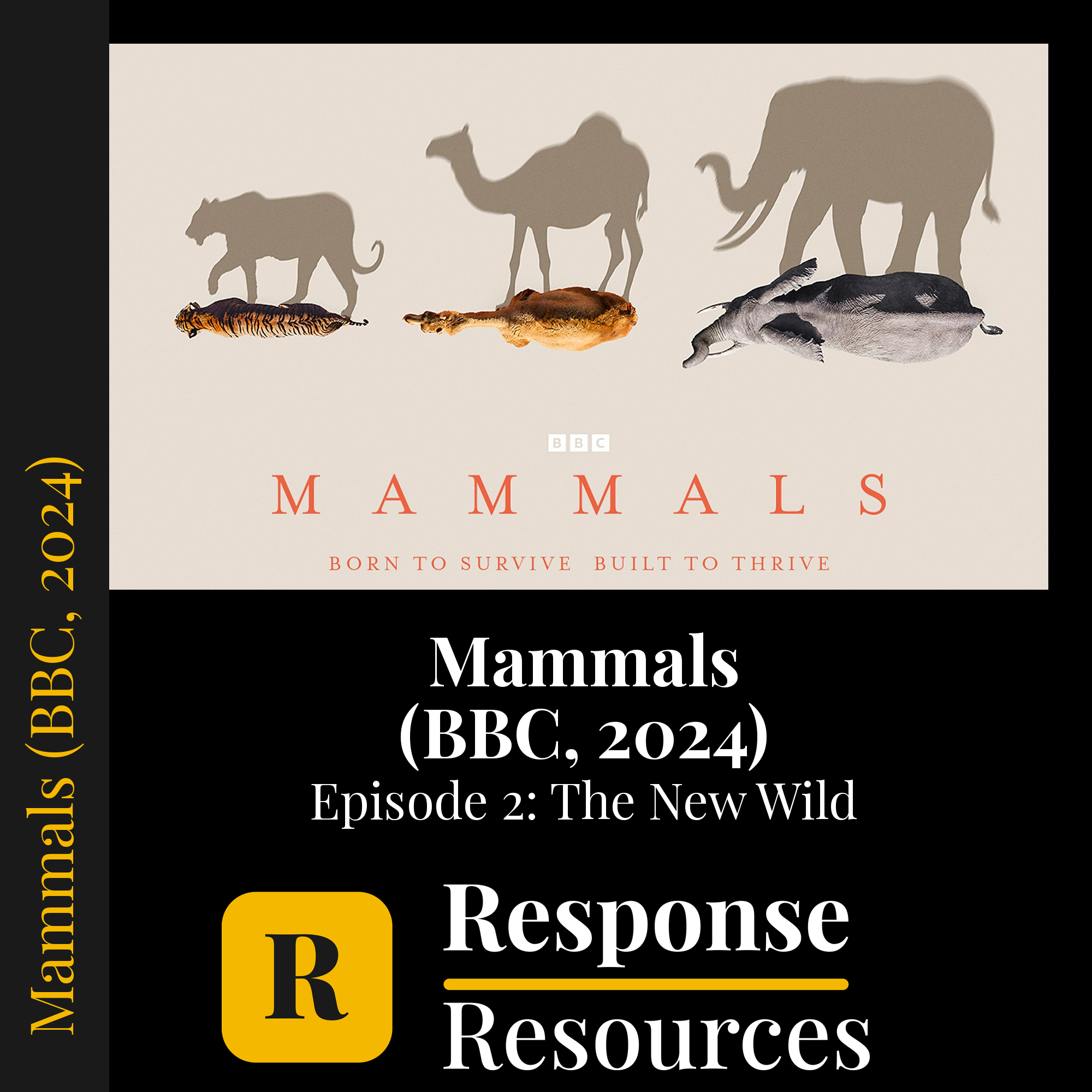 Mammals (BBC, 2024) - Episode 2: The New Wild — fill-in-the-blank documentary worksheet for Environmental Science grades 6-12