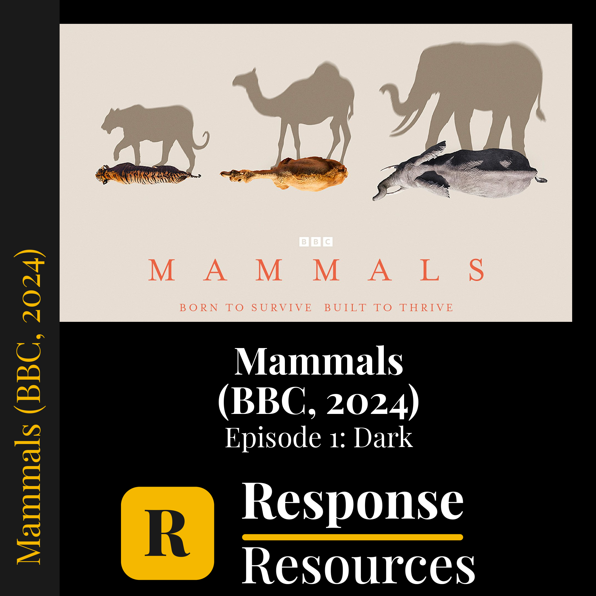 Mammals (BBC, 2024) - Episode 1: Dark — fill-in-the-blank documentary worksheet for Environmental Science grades 6-12