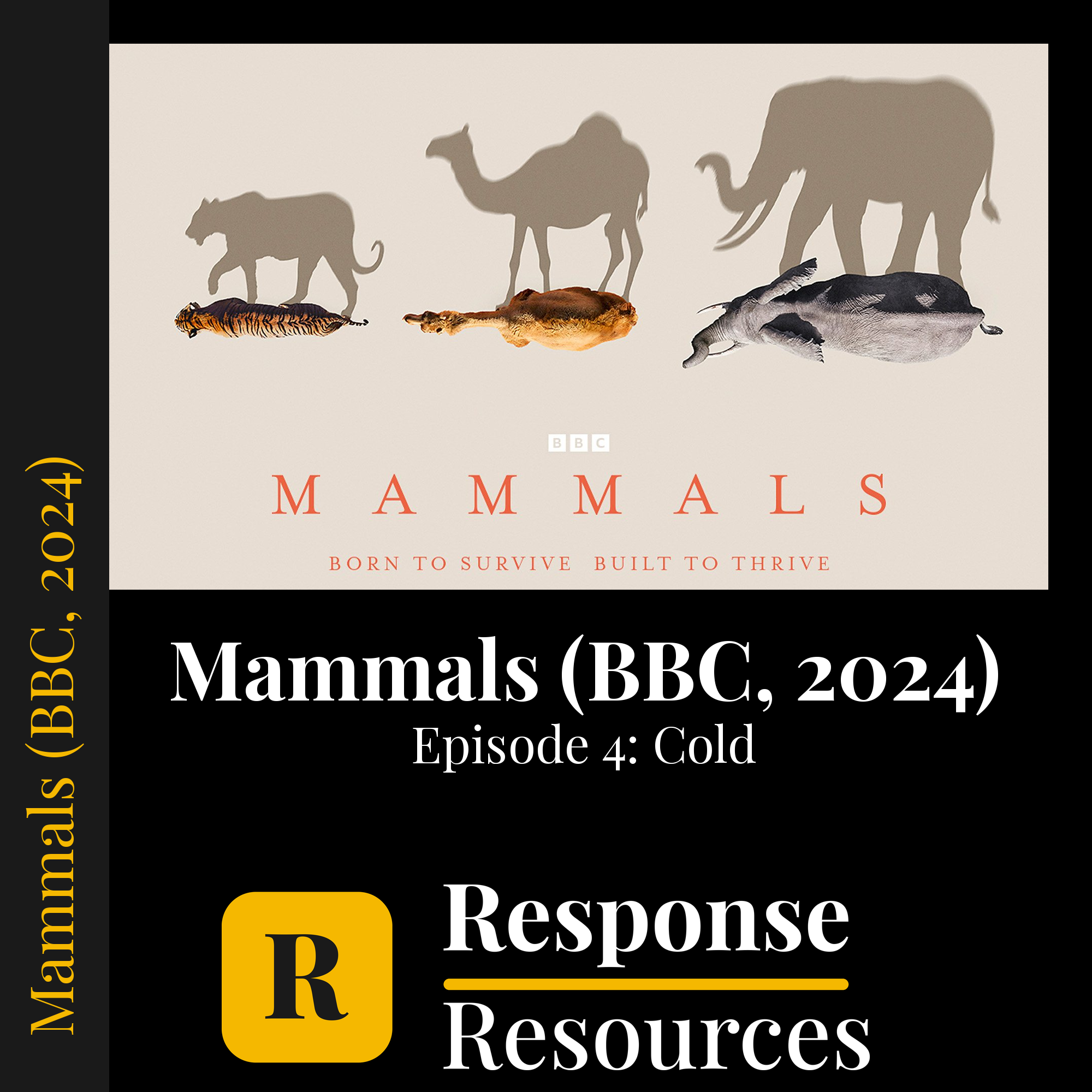 Mammals (BBC, 2024) - Episode 4: Cold — fill-in-the-blank documentary worksheet for Environmental Science grades 6-12