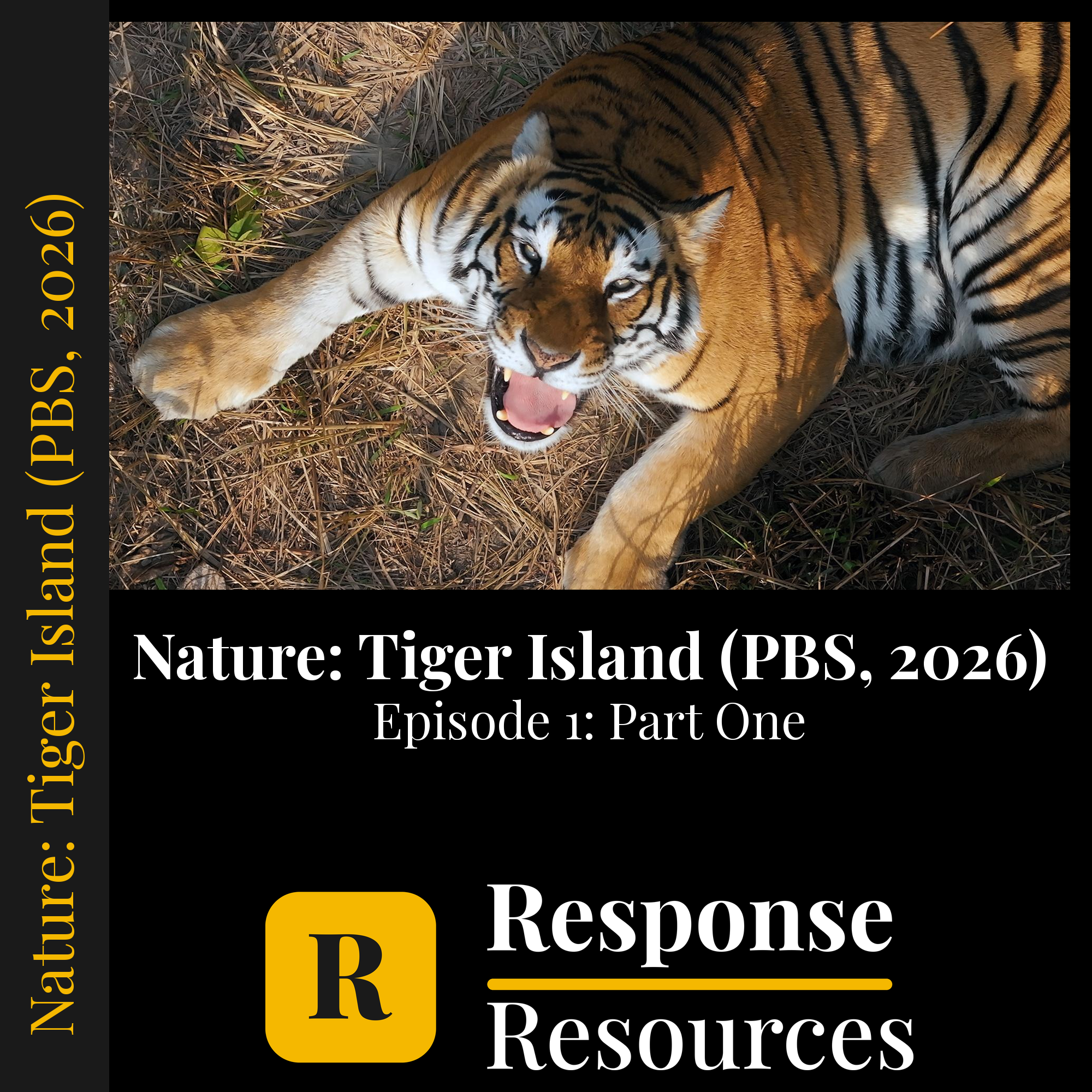 Nature: Tiger Island (PBS, 2026) - Episode 1: Part One — fill-in-the-blank documentary worksheet for Biology grades 6-12