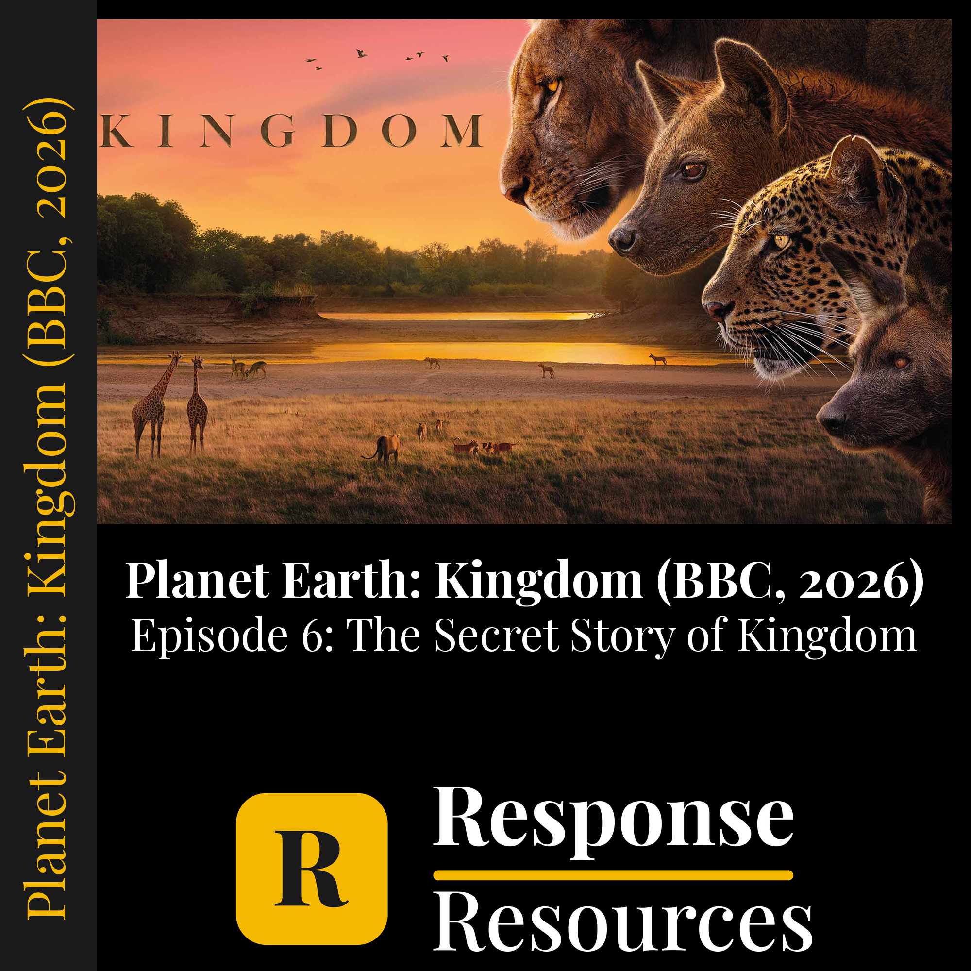 Planet Earth: Kingdom (BBC, 2026) - Episode 6: The Secret Story of Kingdom — fill-in-the-blank documentary worksheet for Environmental Science grades 6-12