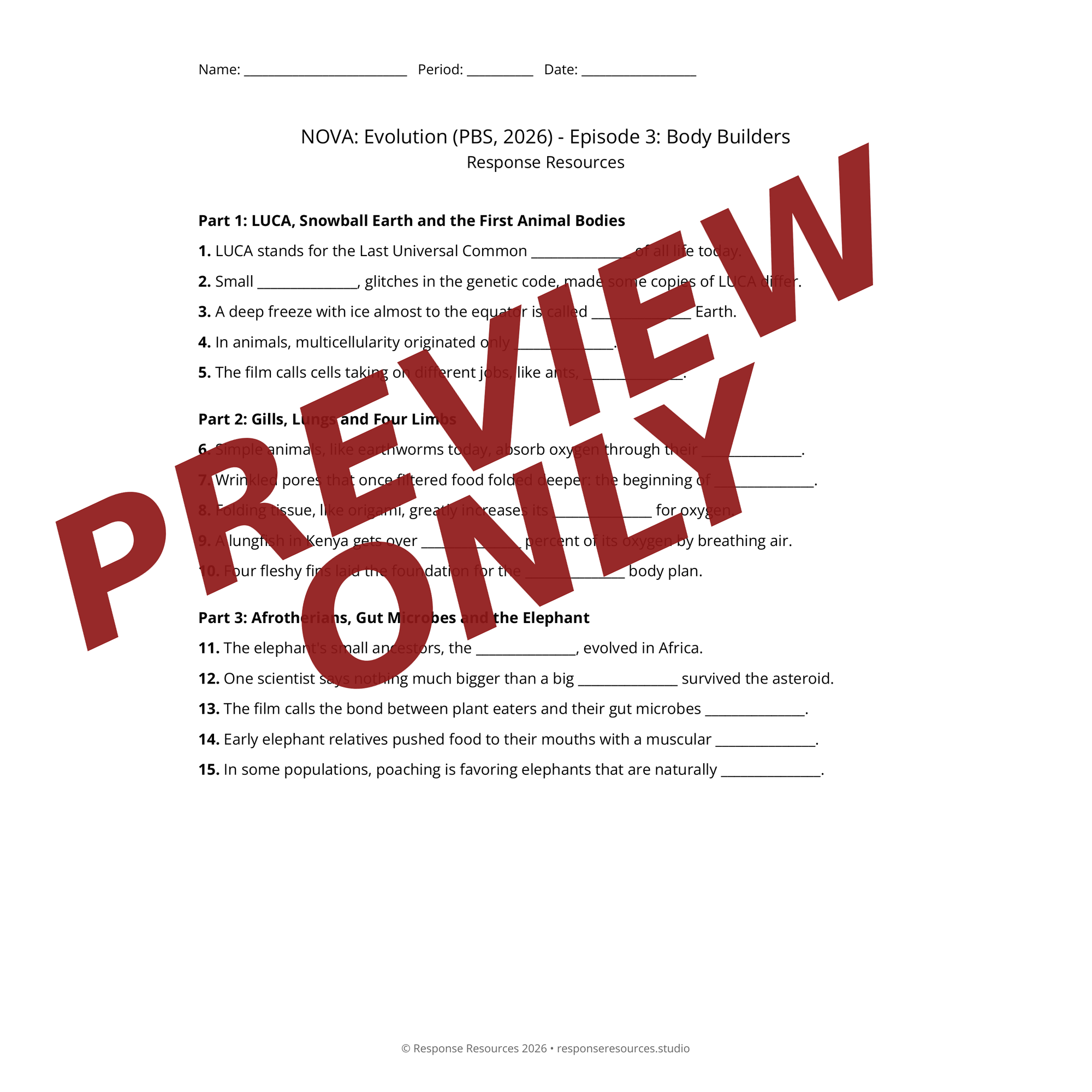 Preview of NOVA: Evolution (PBS, 2026) - Episode 3: Body Builders worksheet — fill-in-the-blank documentary worksheet for Biology