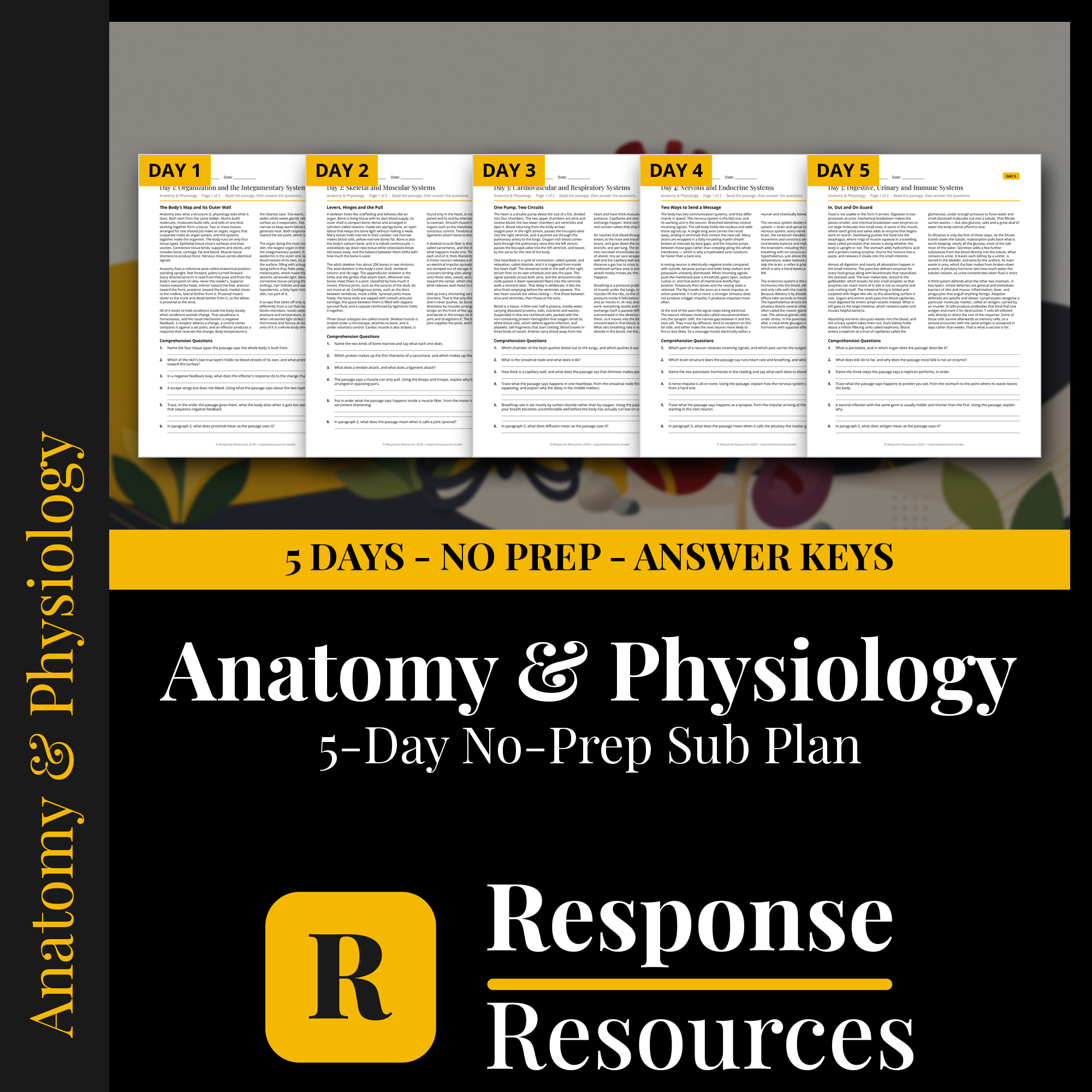 Response Resources 5-day no-prep Anatomy & Physiology substitute plan cover