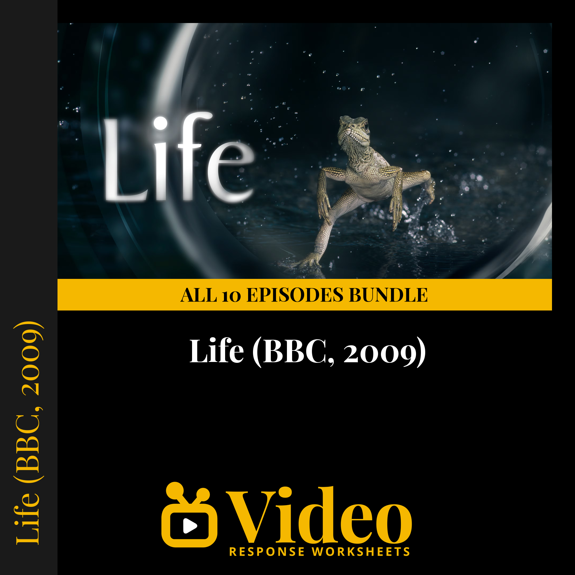 BBC's Life — fill-in-the-blank documentary worksheet bundle for Biology grades 6-12