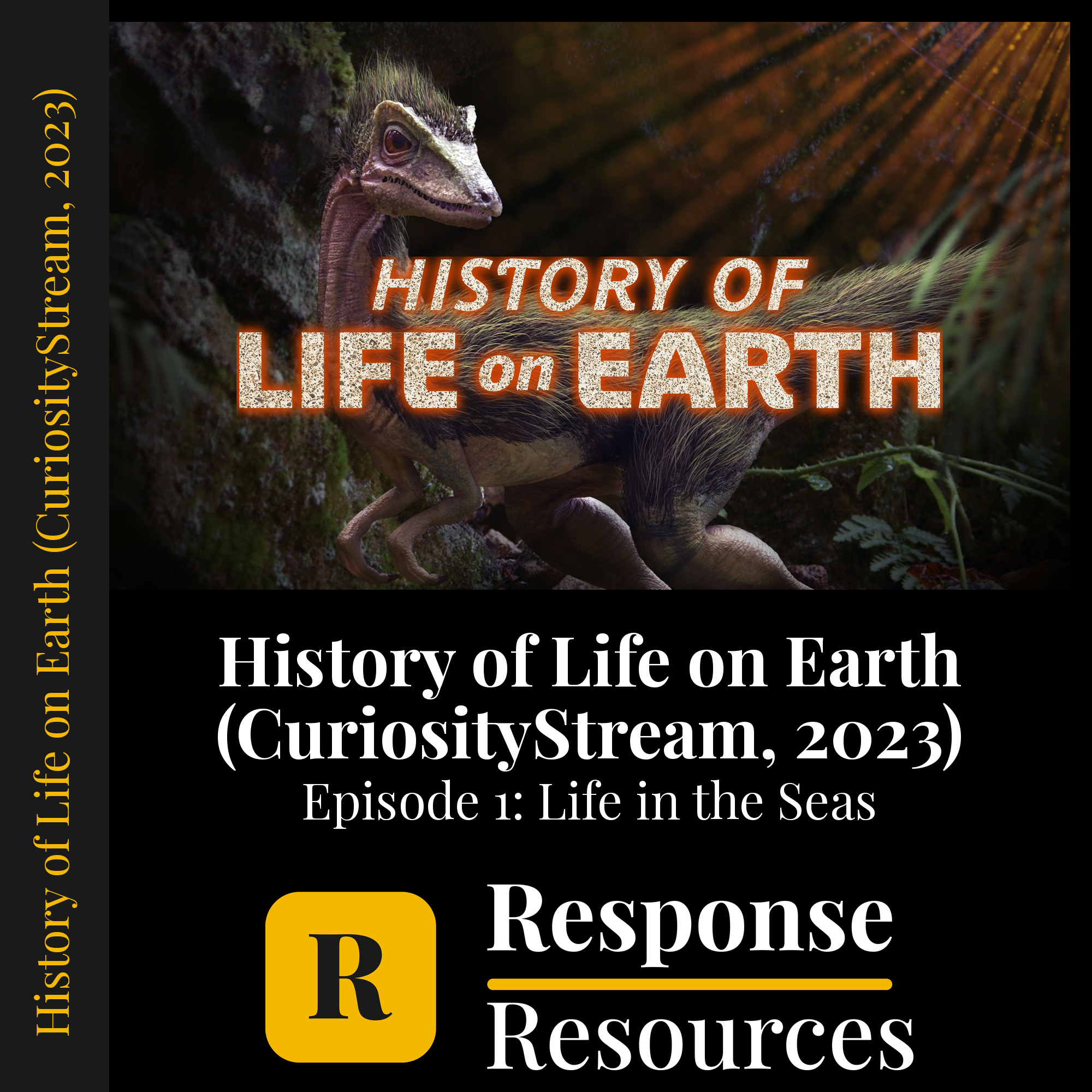 History of Life on Earth (CuriosityStream, 2023) - Episode 1: Life in the Seas — fill-in-the-blank documentary worksheet for Biology grades 6-12