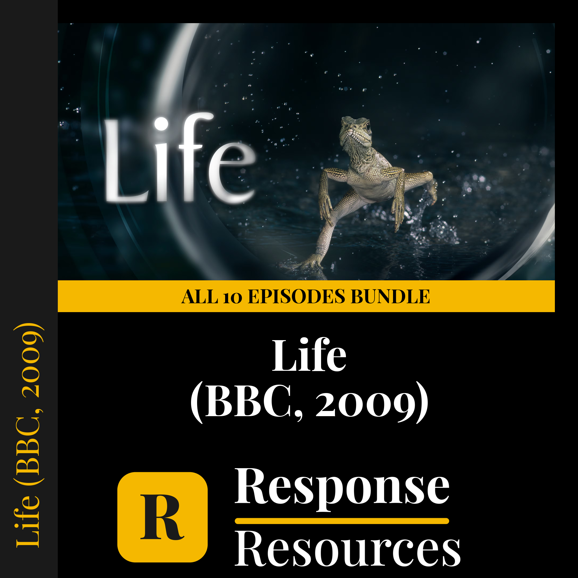 BBC's Life — fill-in-the-blank documentary worksheet bundle for Biology grades 6-12
