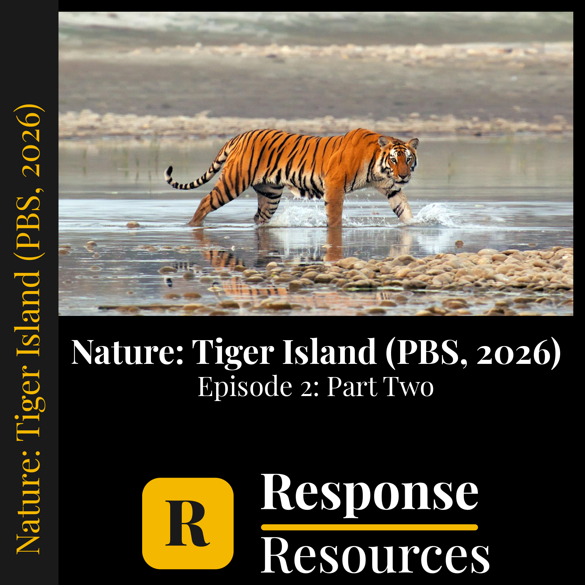 Nature: Tiger Island (PBS, 2026) - Episode 2: Part Two — fill-in-the-blank documentary worksheet for Biology grades 6-12