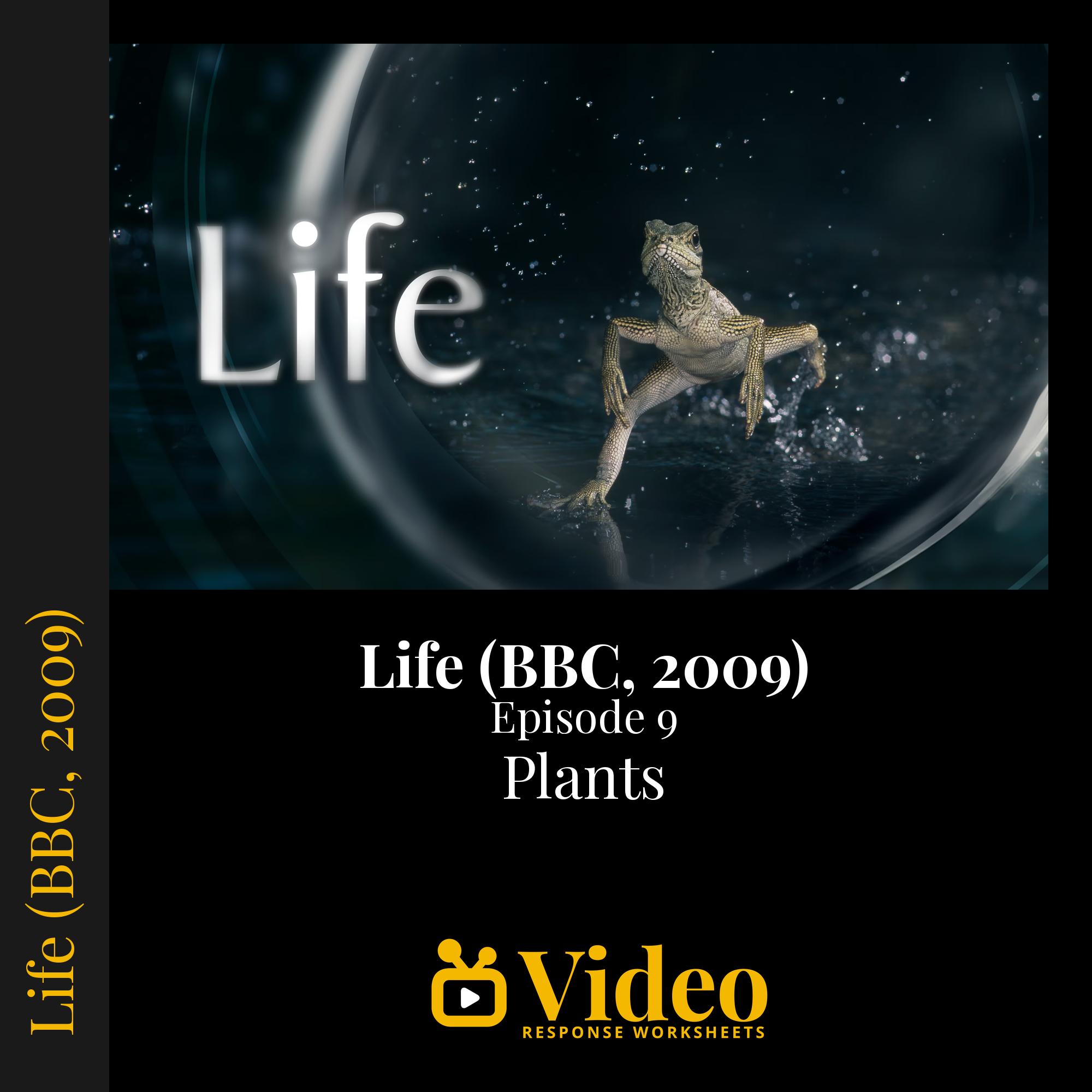 BBC Life Episode 9 (Plants) — fill-in-the-blank documentary worksheet for Biology grades 6-12