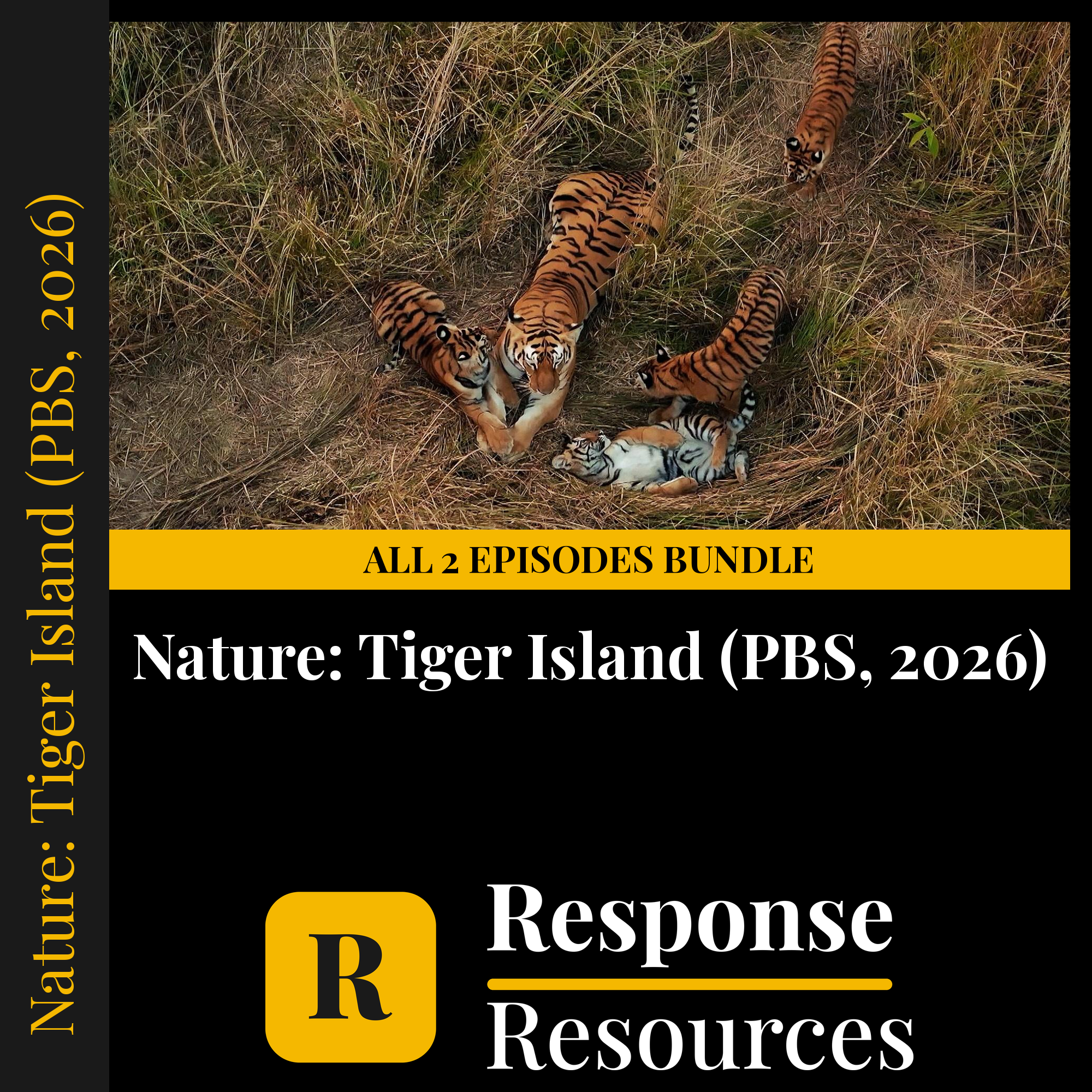 Nature: Tiger Island (PBS, 2026) all 2 episodes bundle — fill-in-the-blank documentary worksheets for Biology grades 6-12