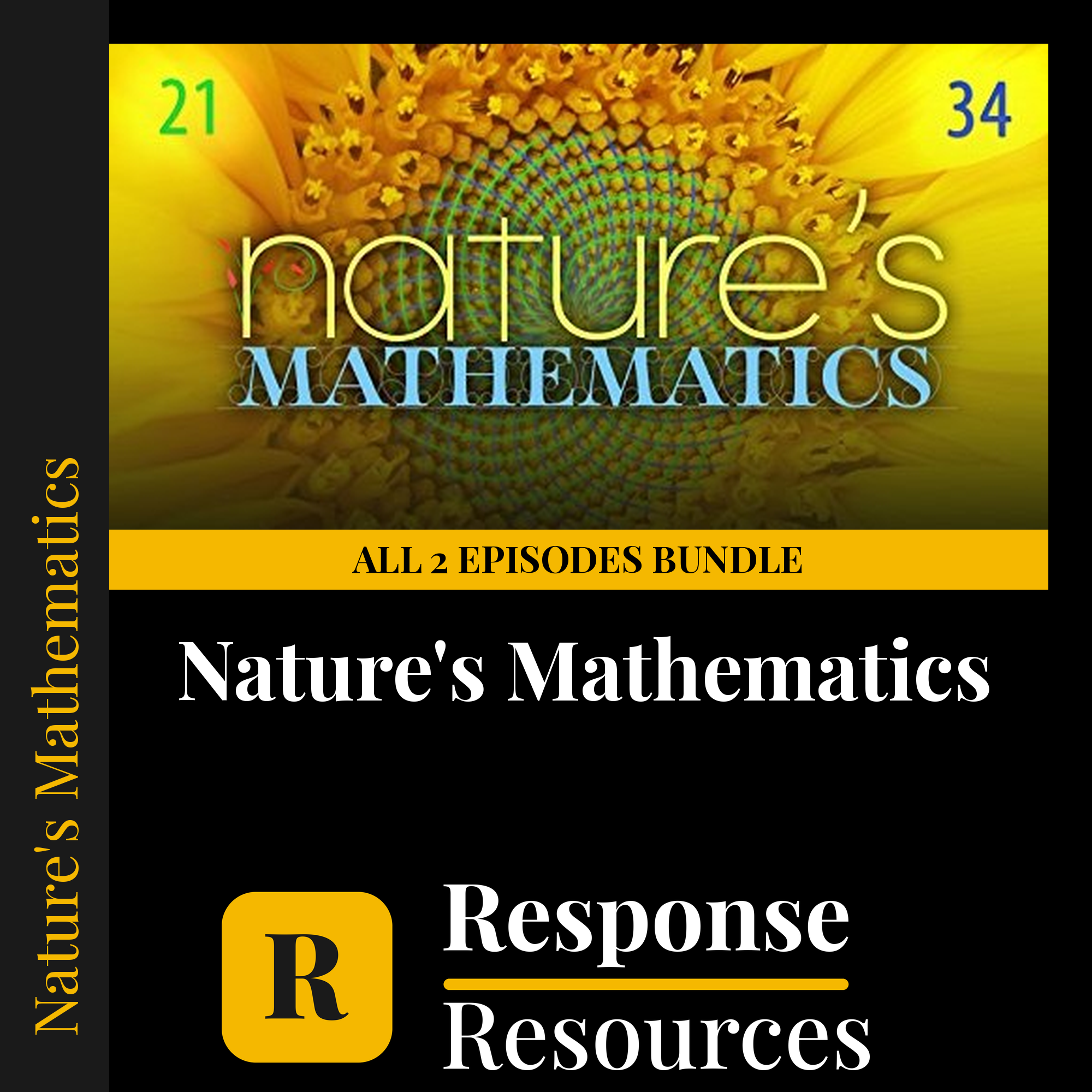 Nature's Mathematics — fill-in-the-blank documentary worksheet bundle for Mathematics grades 6-12