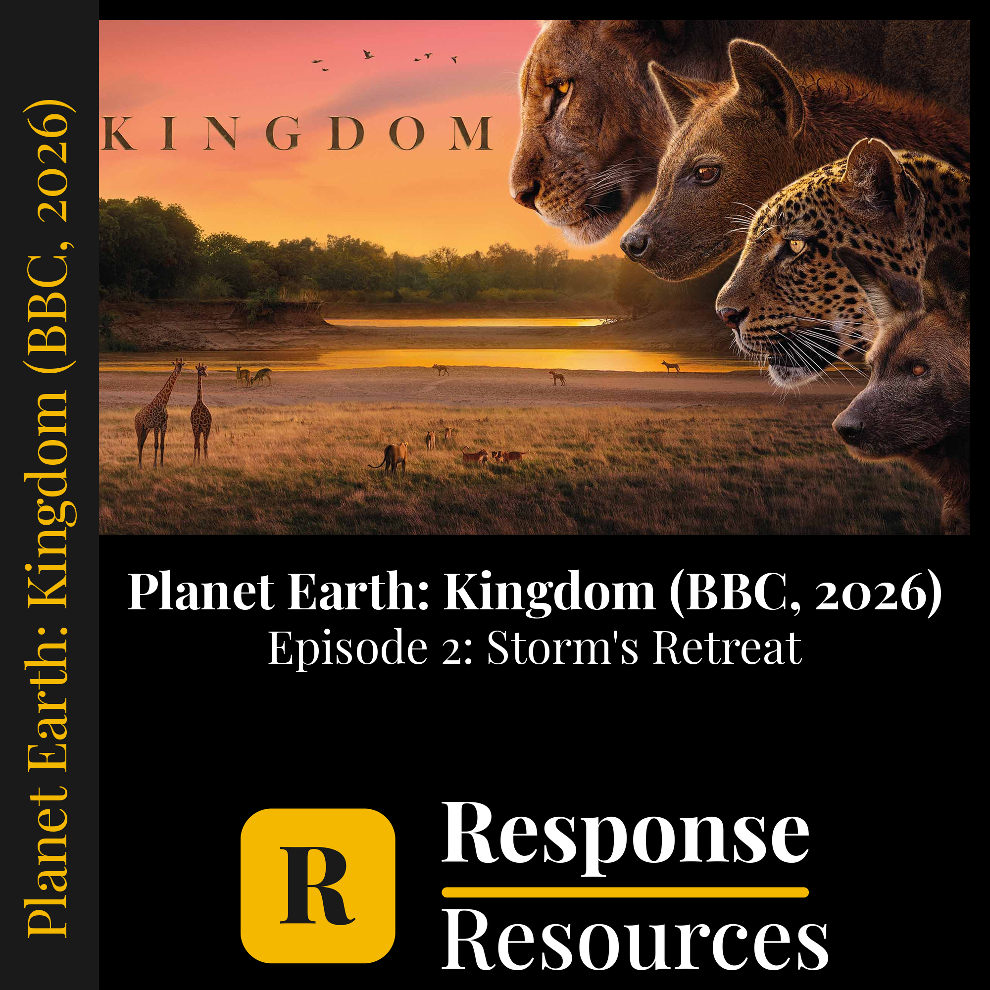 Planet Earth: Kingdom (BBC, 2026) - Episode 2: Storm's Retreat — fill-in-the-blank documentary worksheet for Biology grades 6-12