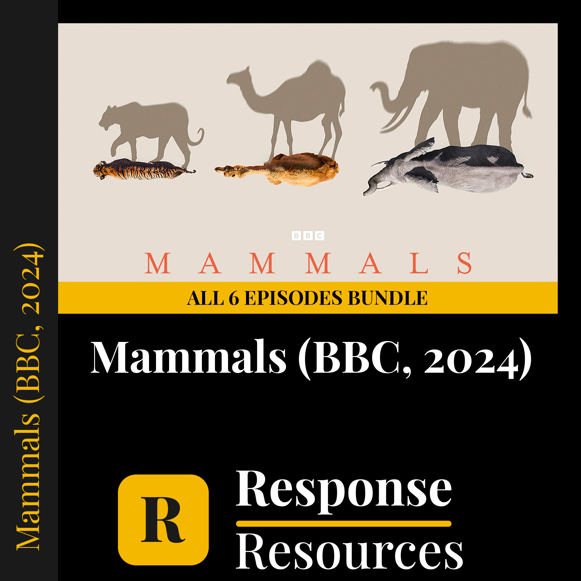 Mammals (BBC, 2024) all 6 episodes bundle — fill-in-the-blank documentary worksheets for Environmental Science grades 6-12