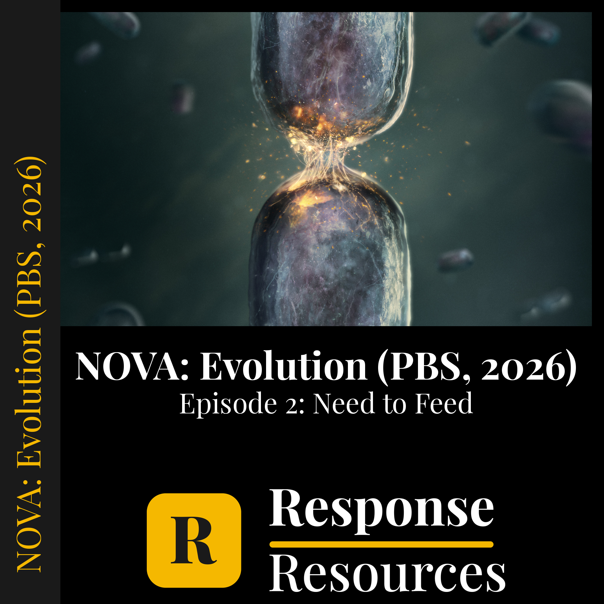 NOVA: Evolution (PBS, 2026) - Episode 2: Need to Feed — fill-in-the-blank documentary worksheet for Biology grades 6-12