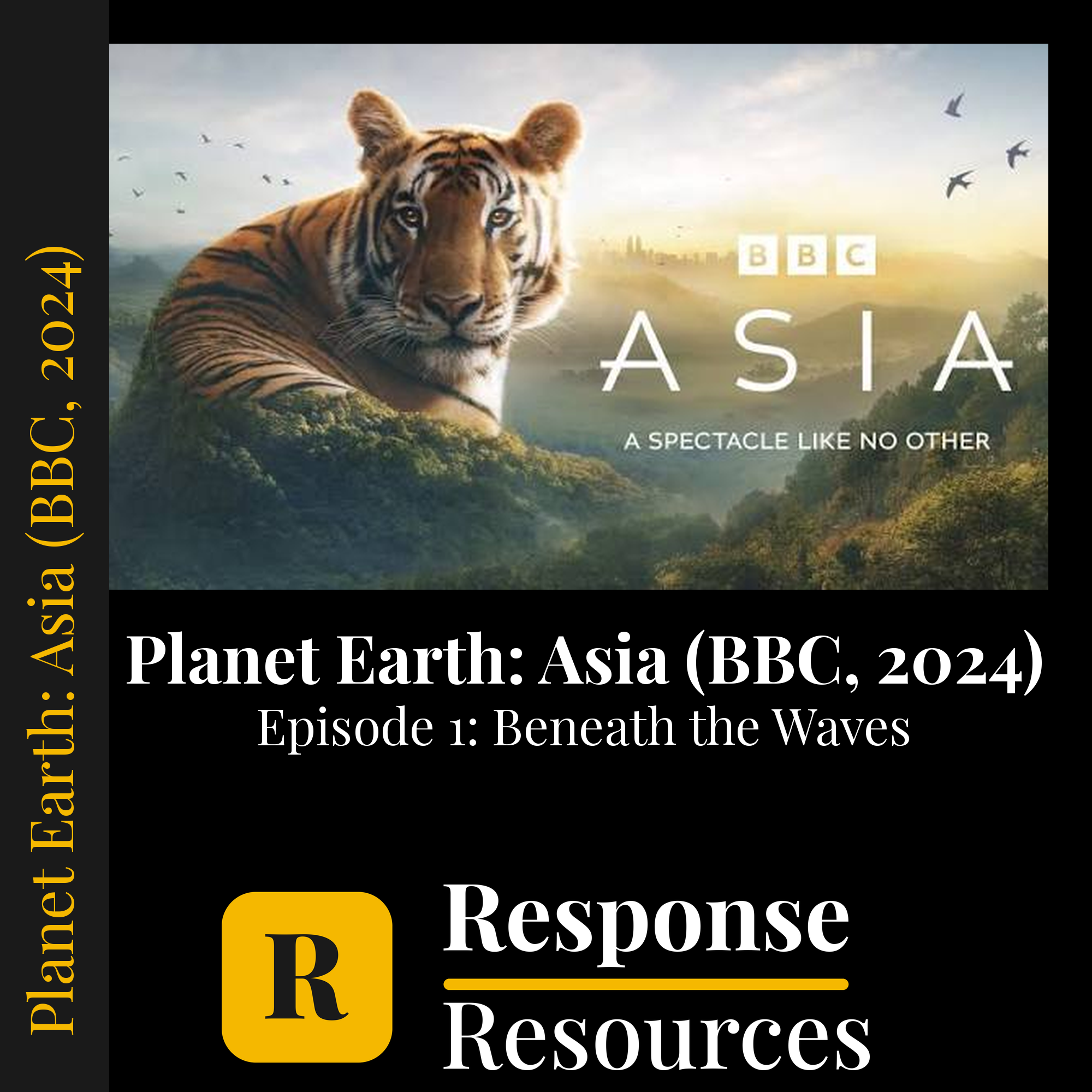 Planet Earth: Asia (BBC, 2024) - Episode 1: Beneath the Waves — fill-in-the-blank documentary worksheet for Environmental Science grades 6-12