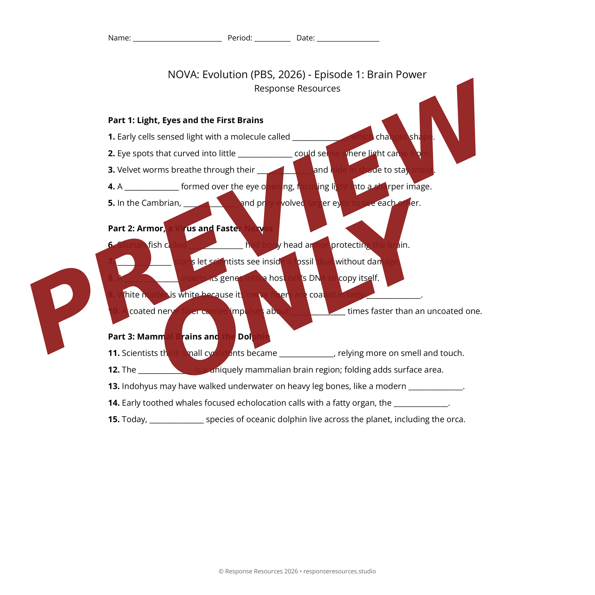 Worksheet page from the NOVA: Evolution video worksheets bundle