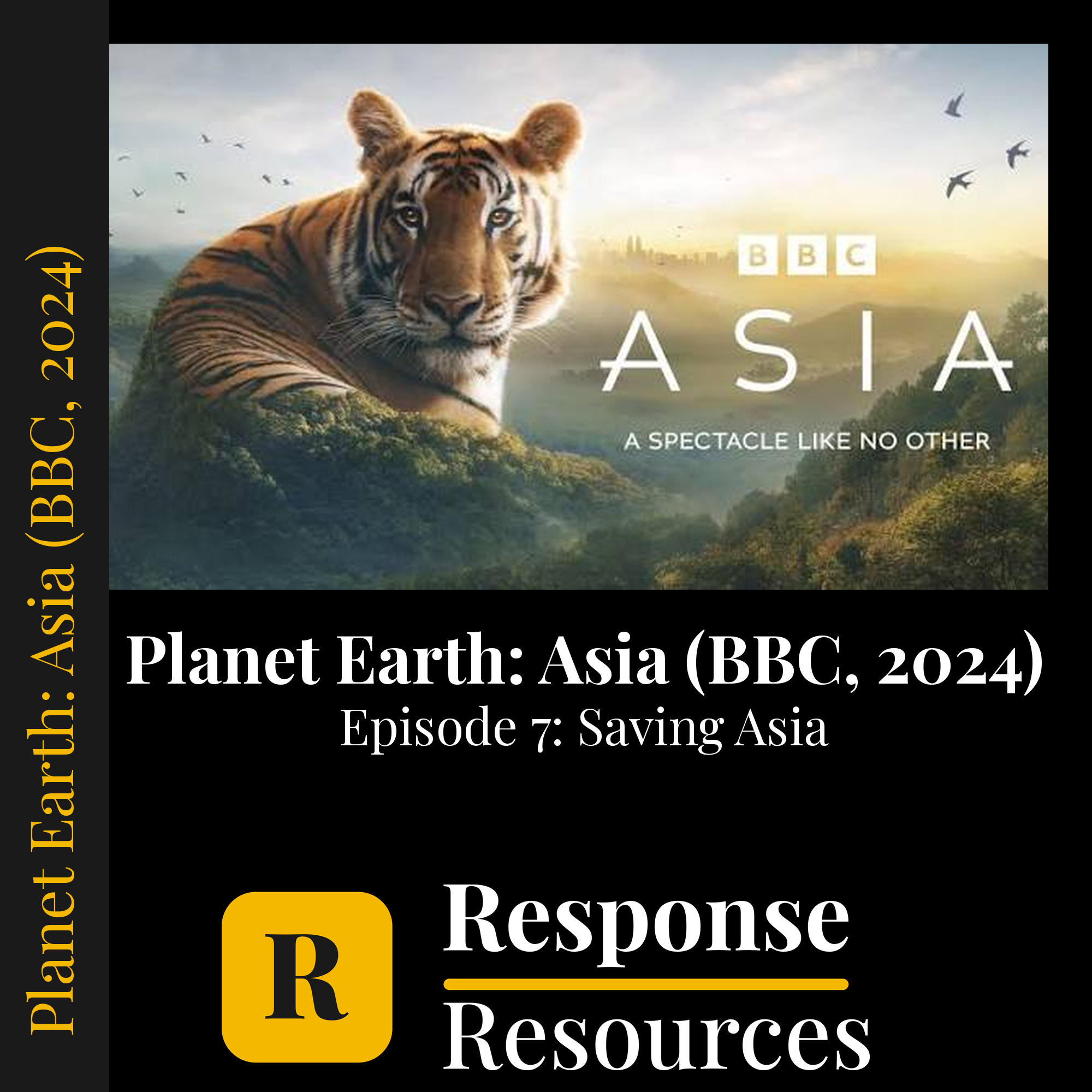 Planet Earth: Asia (BBC, 2024) - Episode 7: Saving Asia — fill-in-the-blank documentary worksheet for Environmental Science grades 6-12