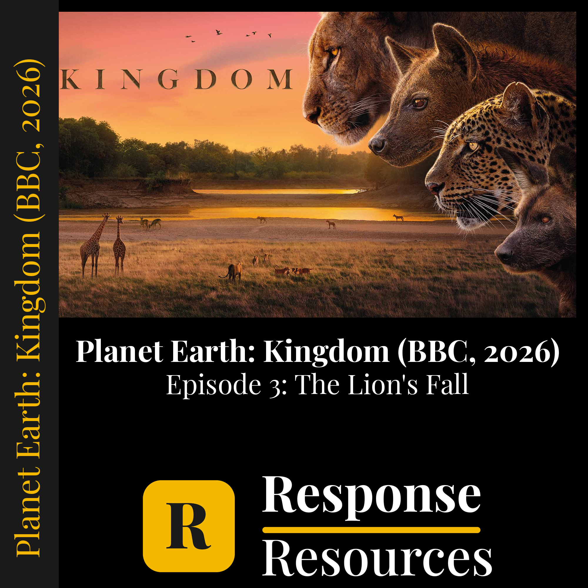 Planet Earth: Kingdom (BBC, 2026) - Episode 3: The Lion's Fall — fill-in-the-blank documentary worksheet for Biology grades 6-12