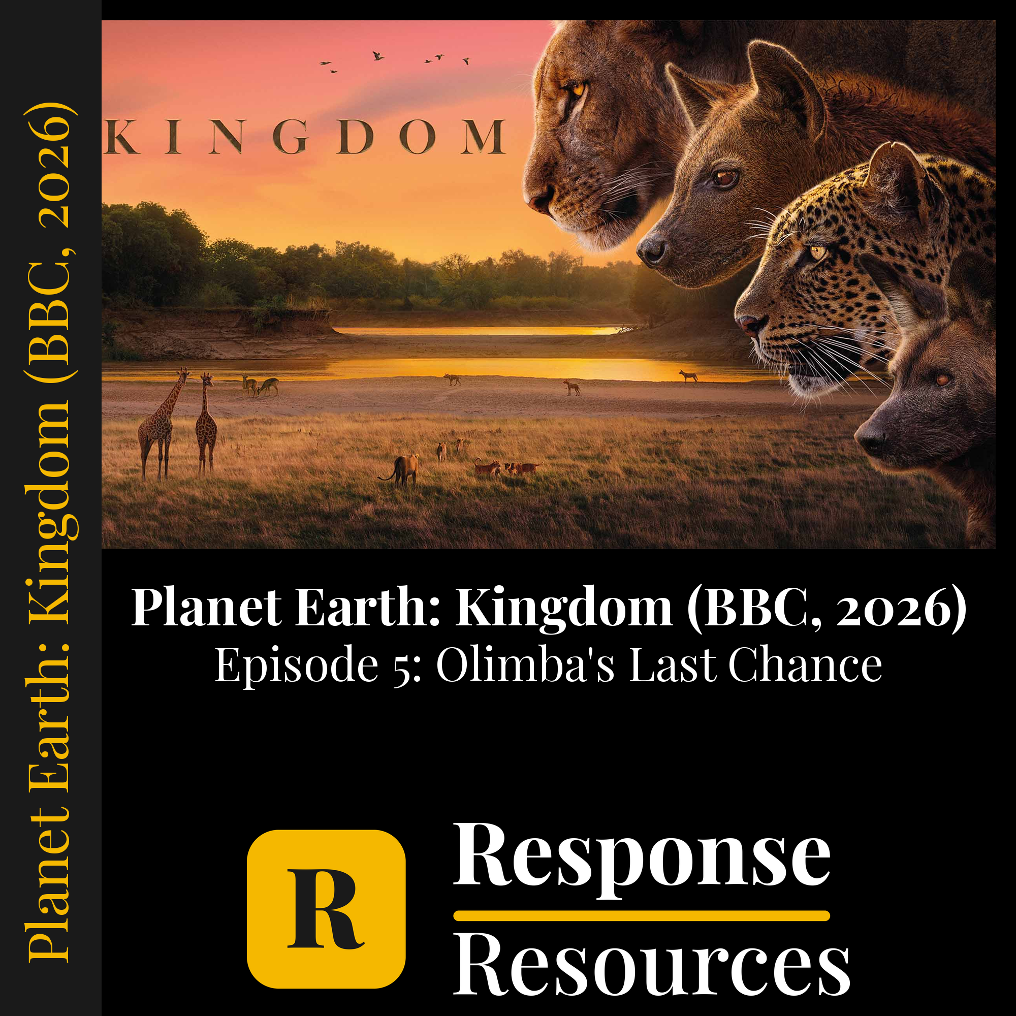 Planet Earth: Kingdom (BBC, 2026) - Episode 5: Olimba's Last Chance — fill-in-the-blank documentary worksheet for Biology grades 6-12