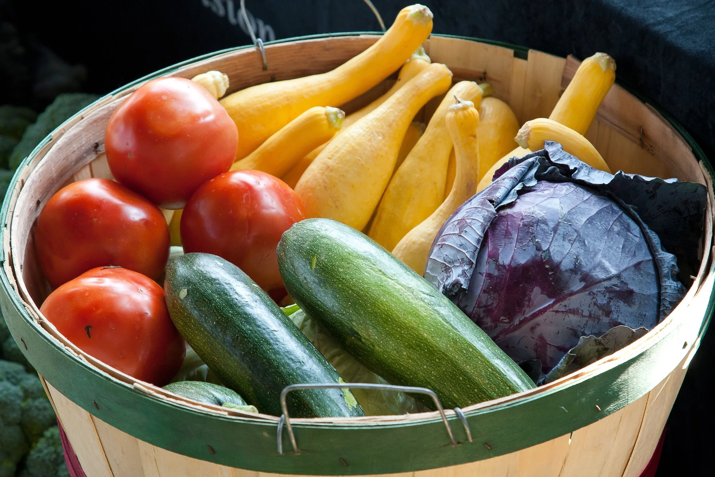 The ALGNMNT Brief: movement, food research &amp; lasting health