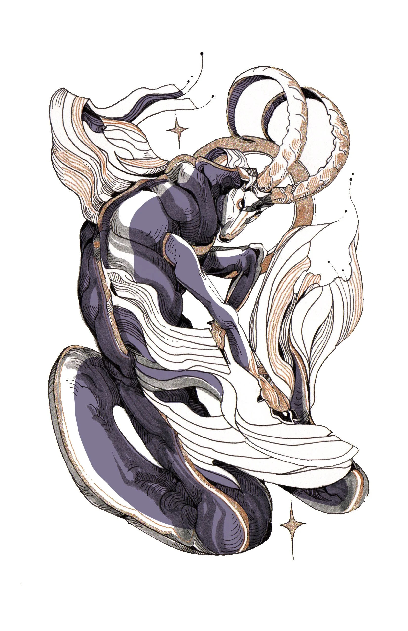 Line art illustration of a ram with large curved horns and flowing hair, surrounded by stars and abstract lines.
