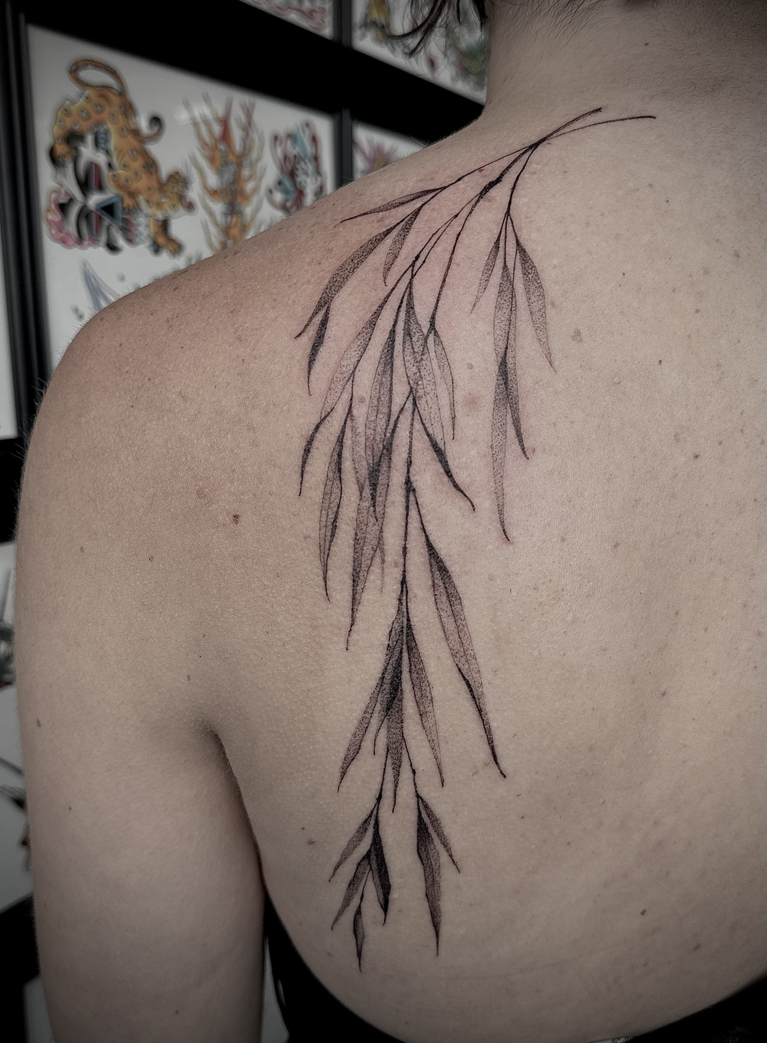 Willow tree branch, fine line, free handed tattoos in Lexington Kentucky