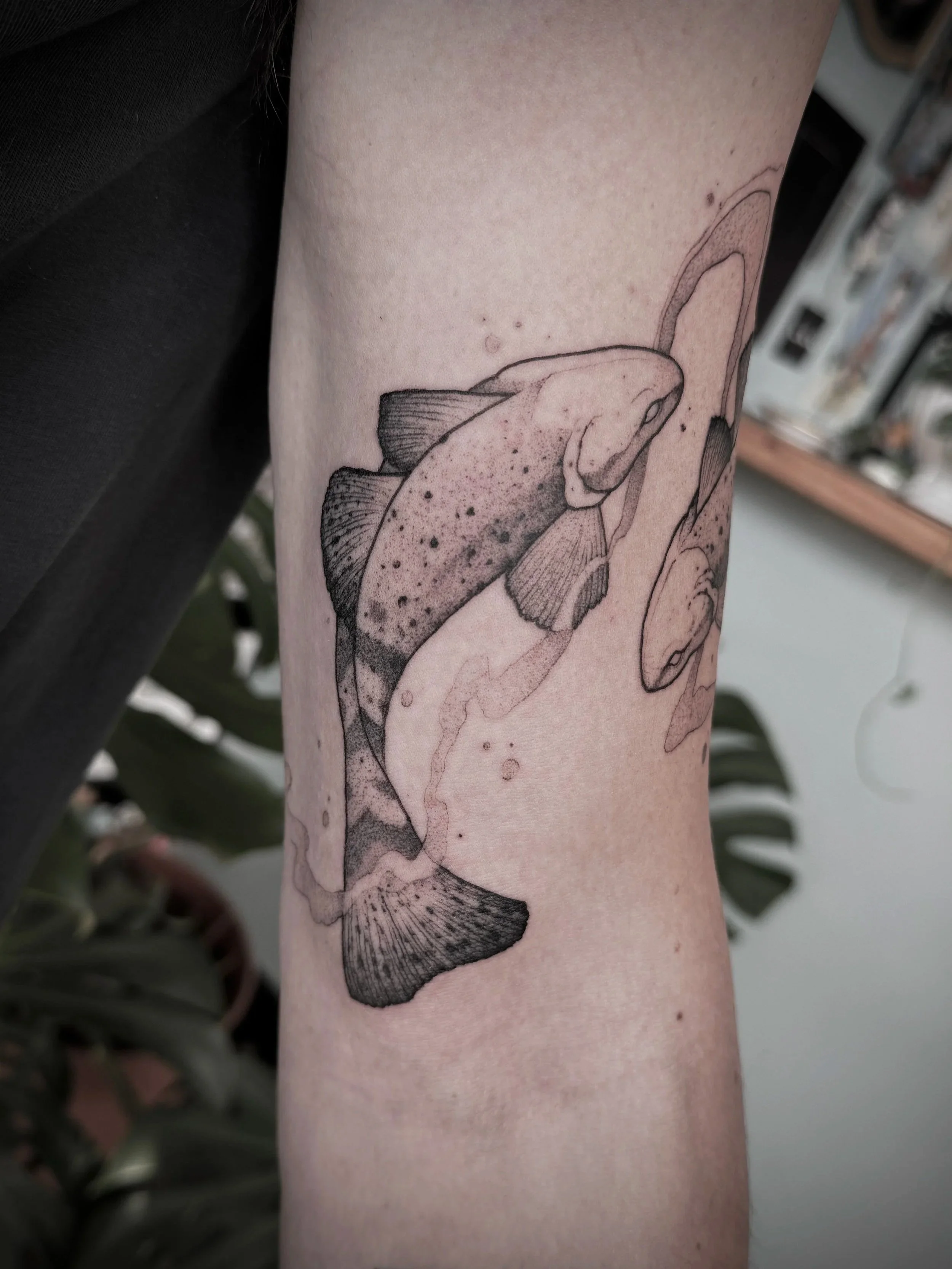 Fish tattoo, fine line tattoos in Lexington Kentucky
