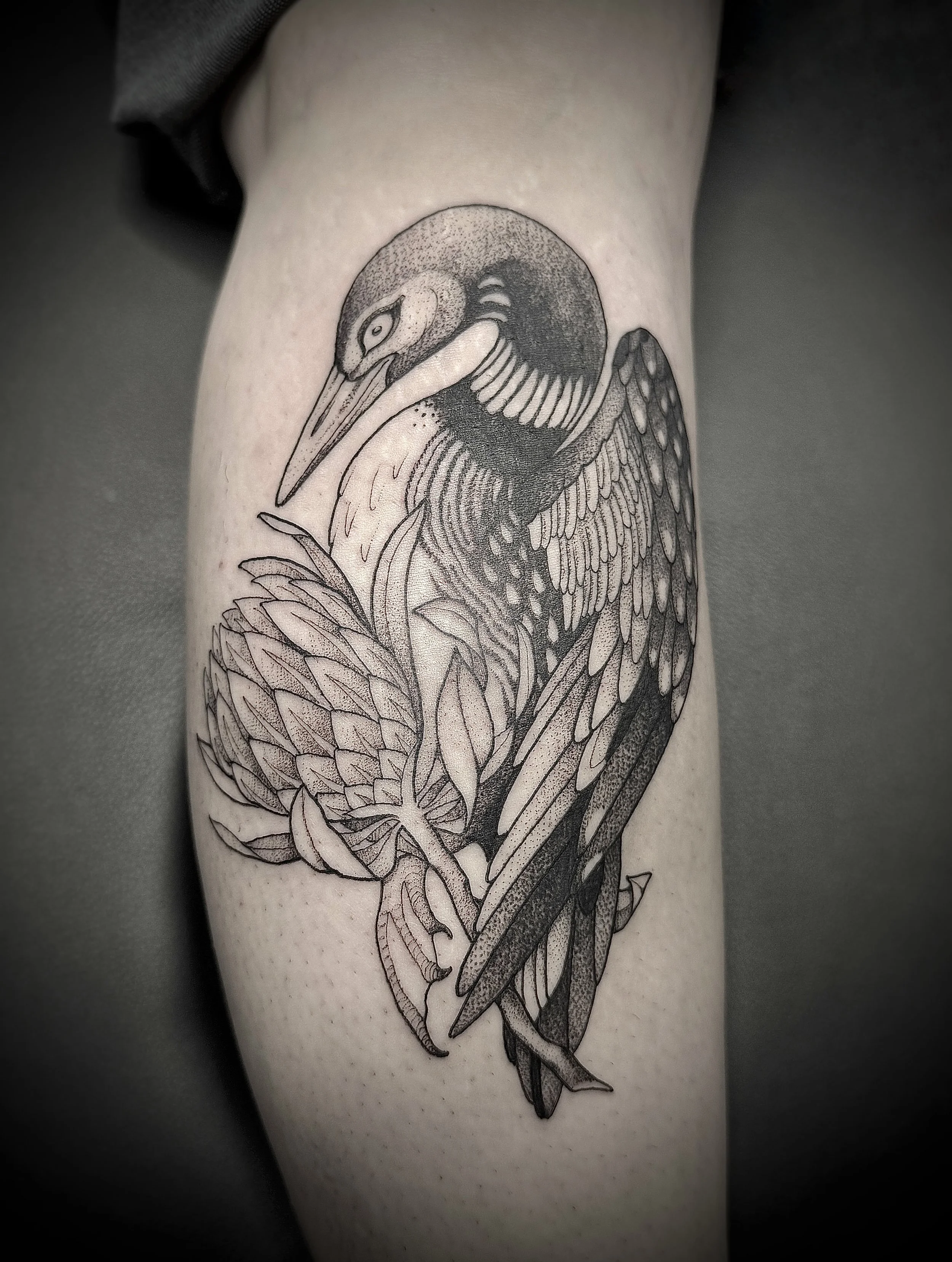 Bird tattoo, fine lines tattoo in Lexington Kentucky