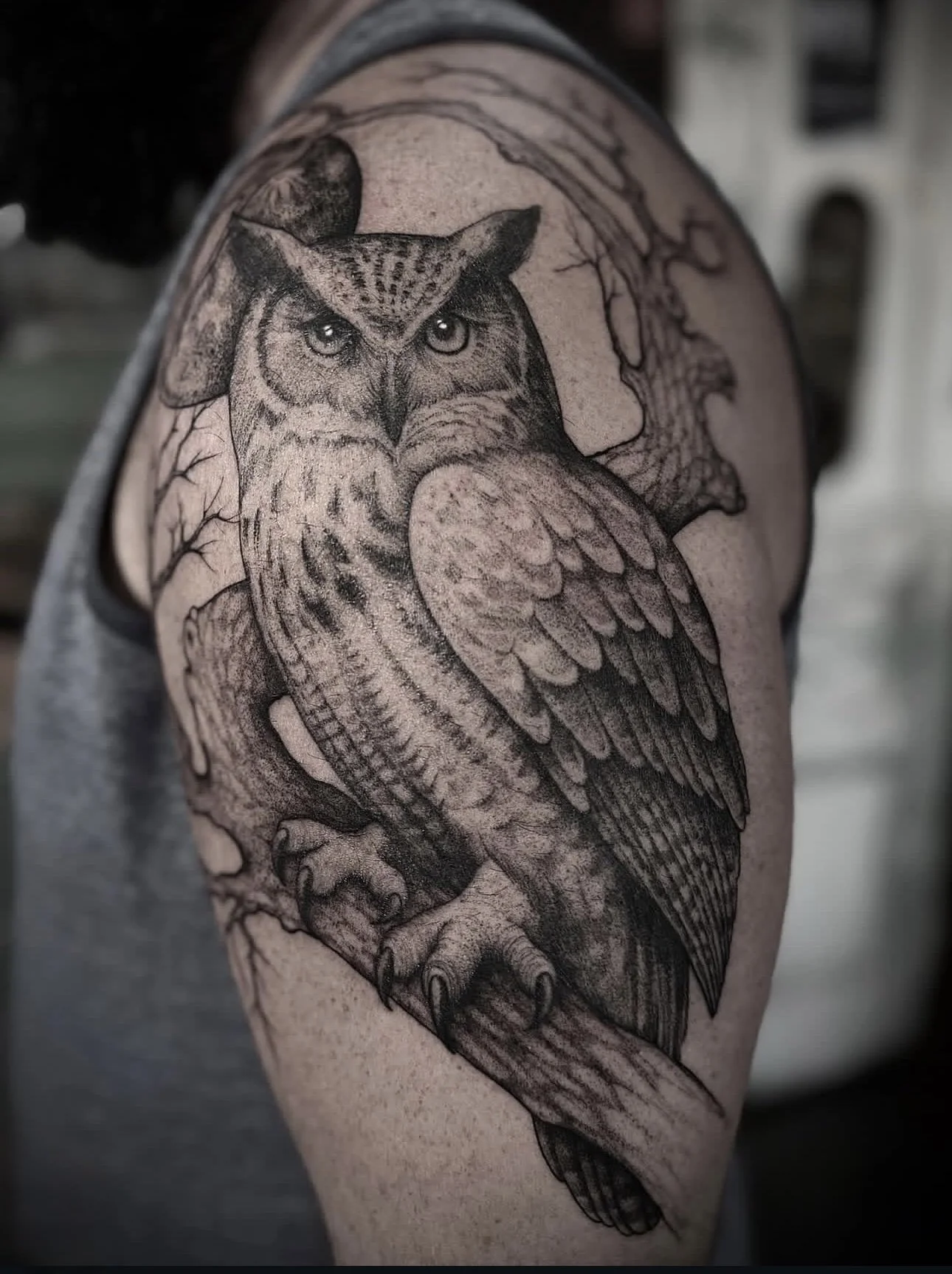 Black and gray tattoo of an owl with detailed feathers, perched on a tree branch on a person's upper arm
