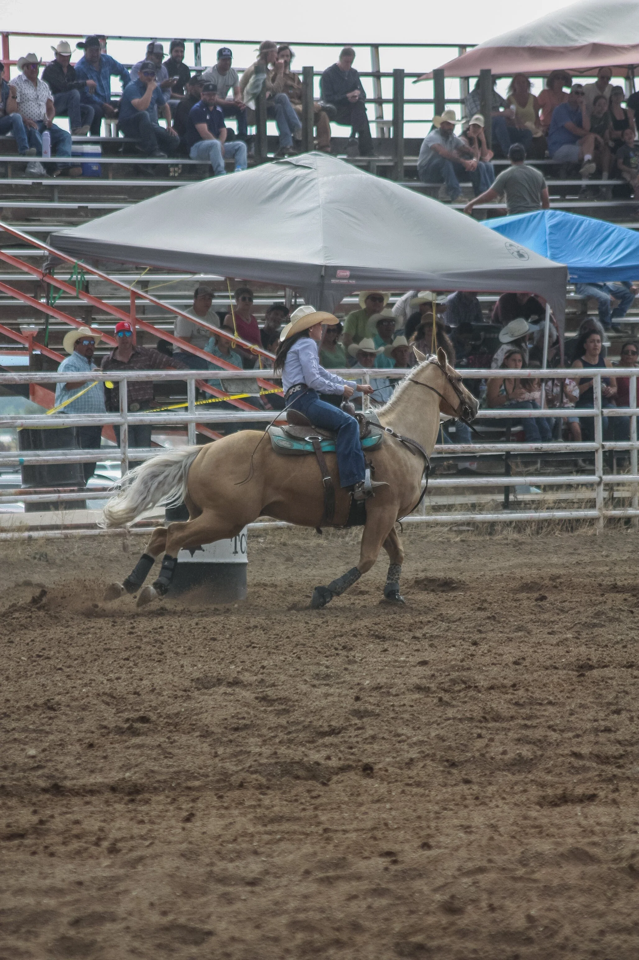 IMG_0856.jpg