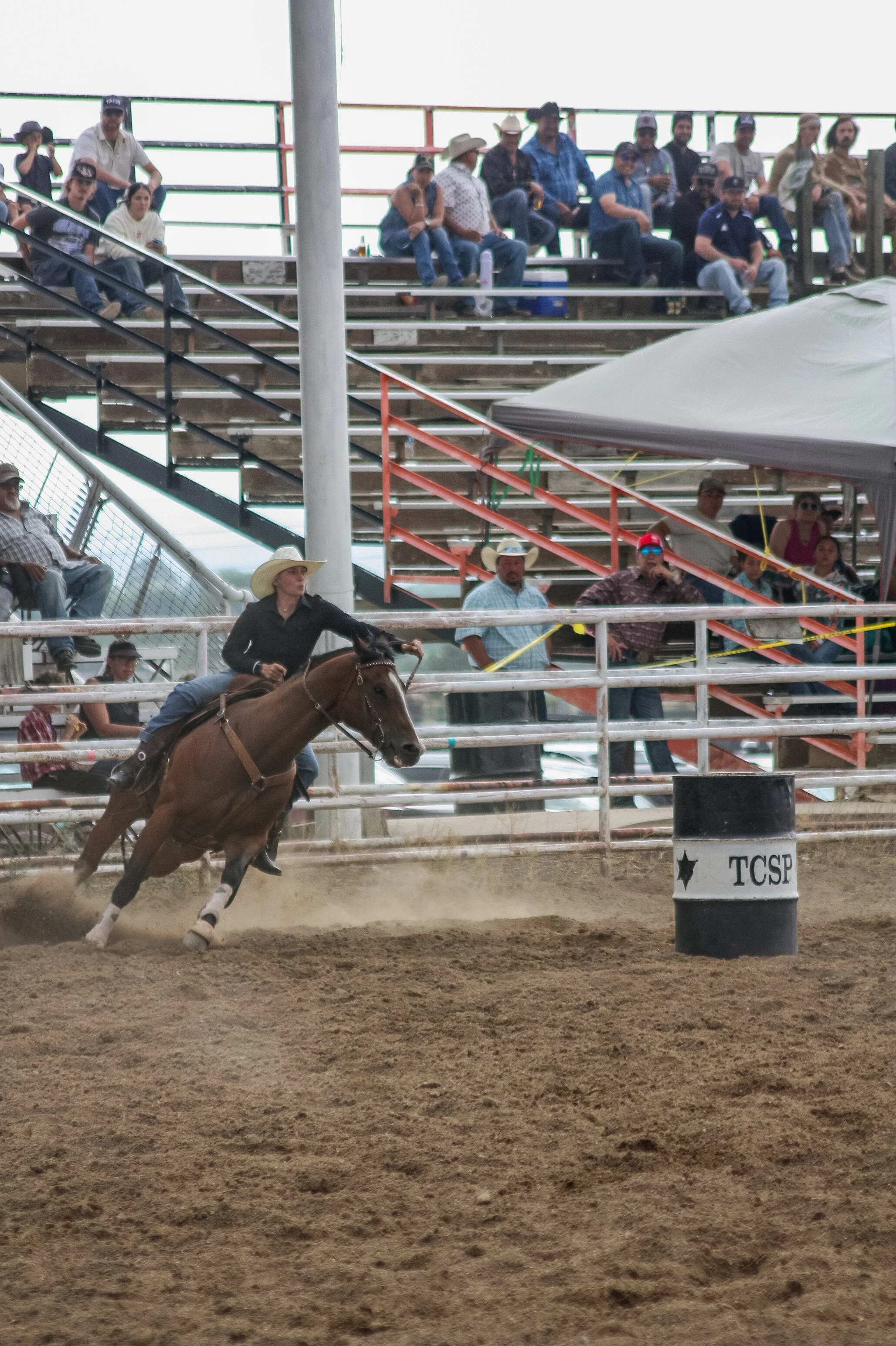 IMG_0823.jpg