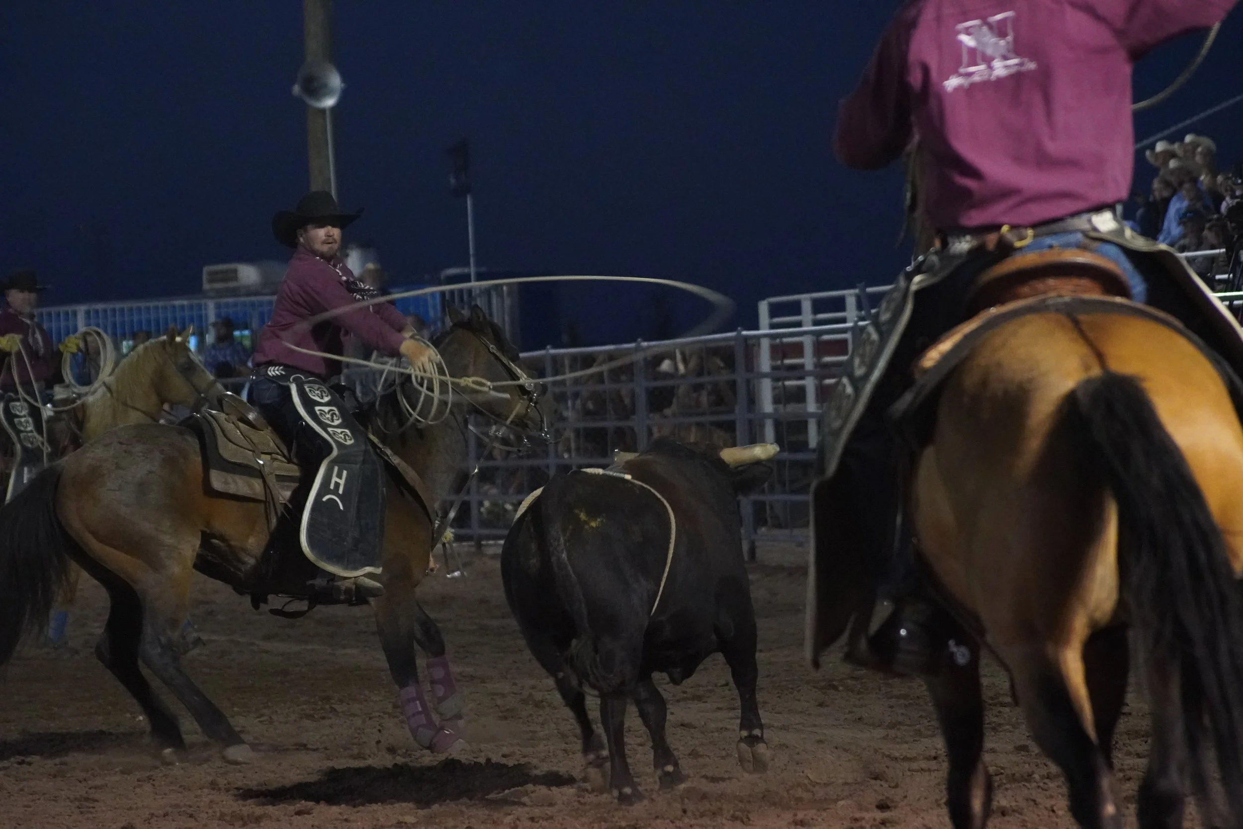Alamosa Round Up