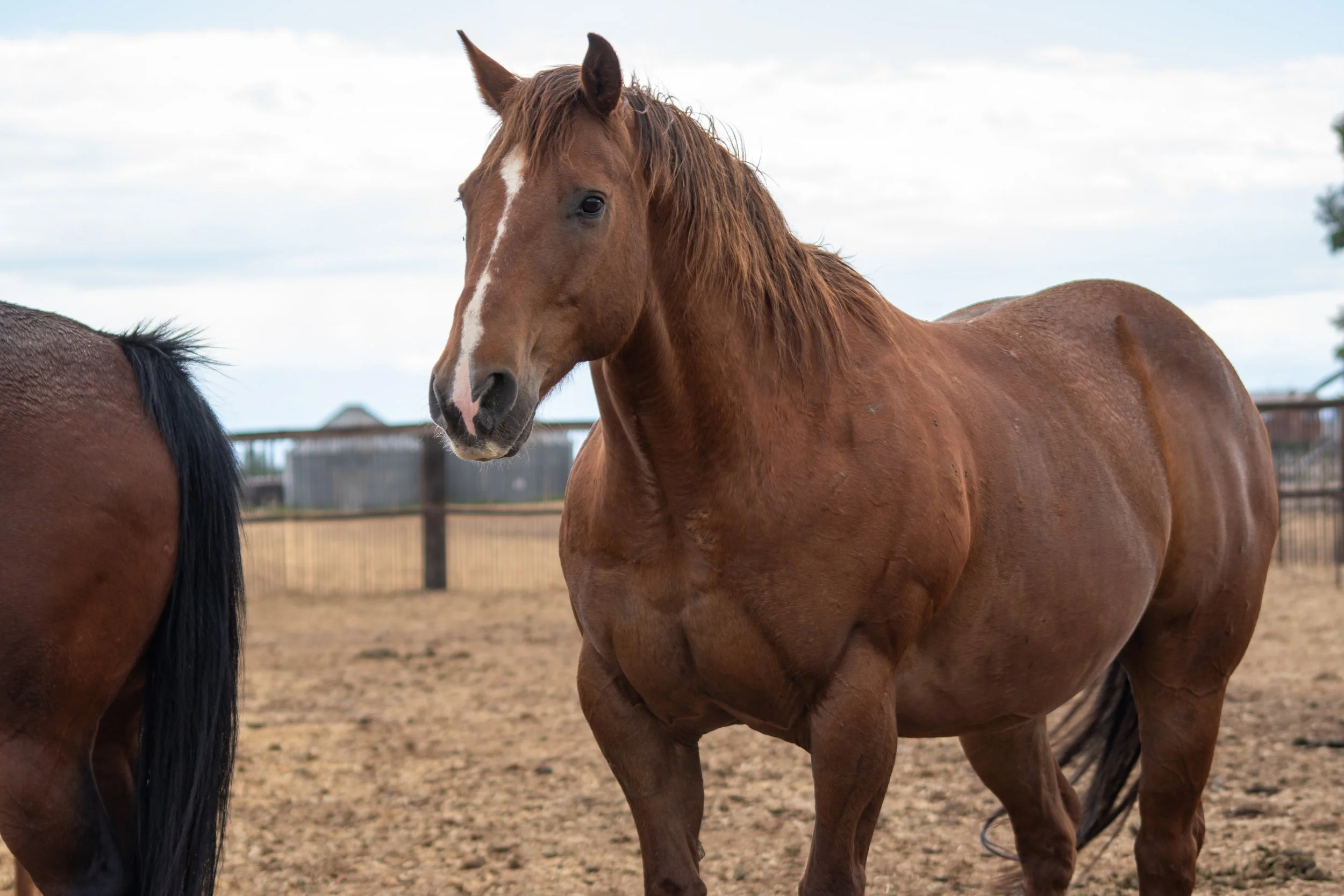 DSC00673.jpg