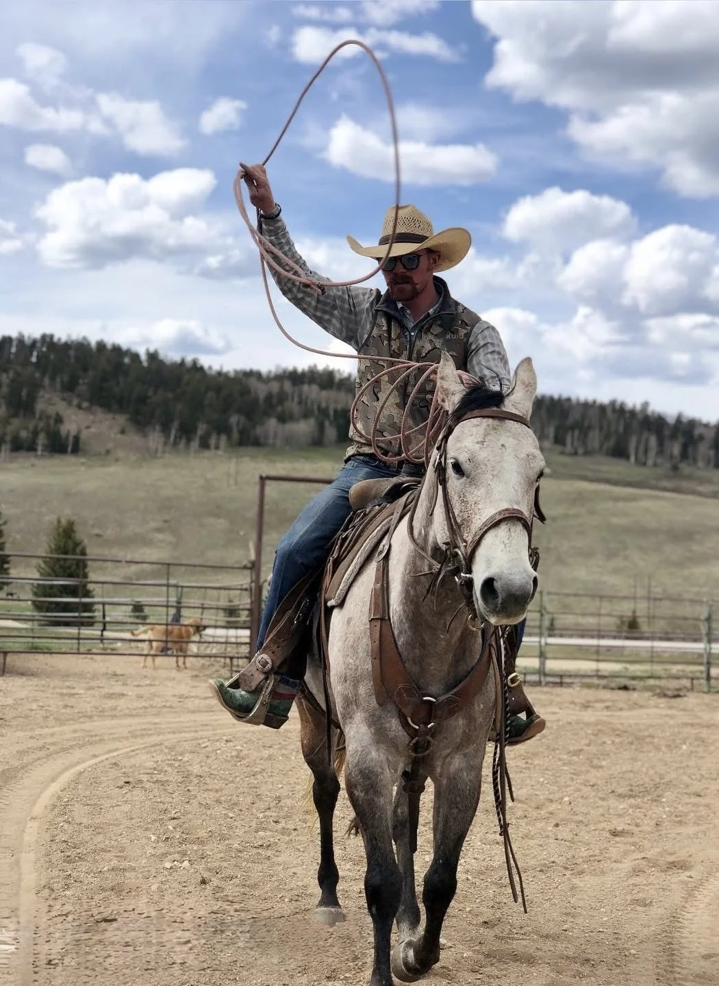 A man wearing a cowboy hat, sunglasses, and a vest riding a white horse in an outdoor arena, holding a lasso in the air.