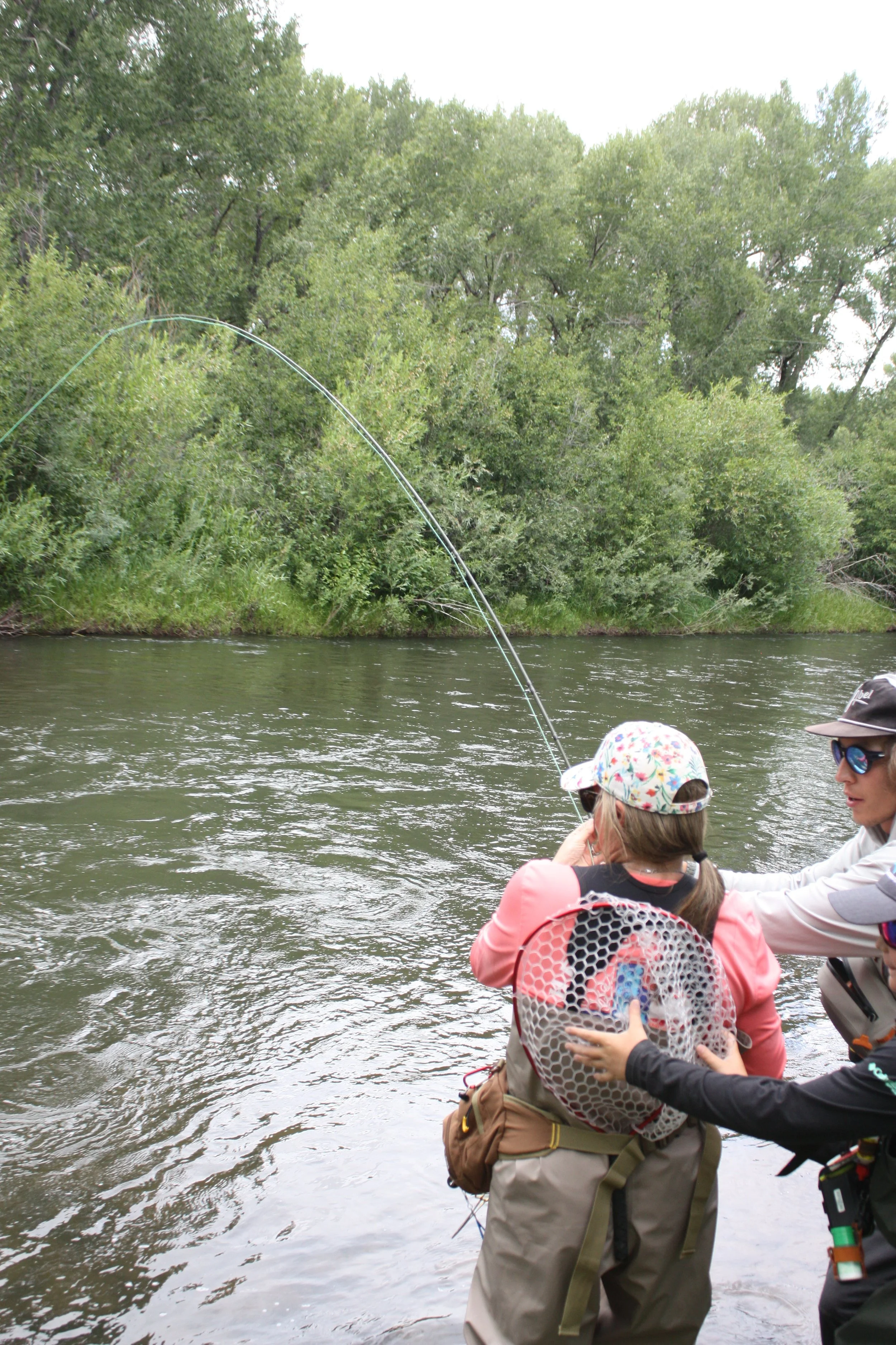 People fishing along a riverbank with lush green trees in the background.