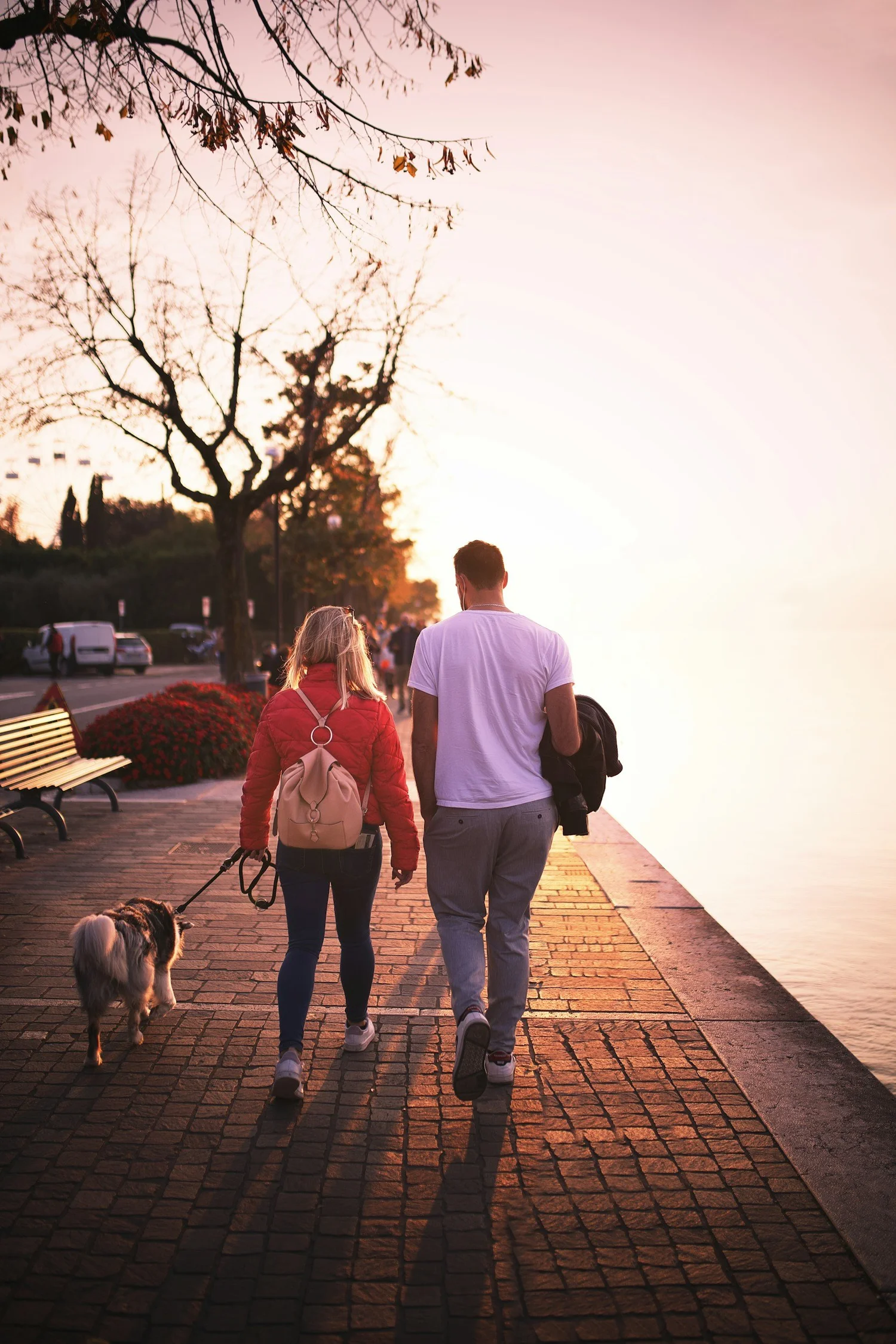 Couple walking their dogs at sunset