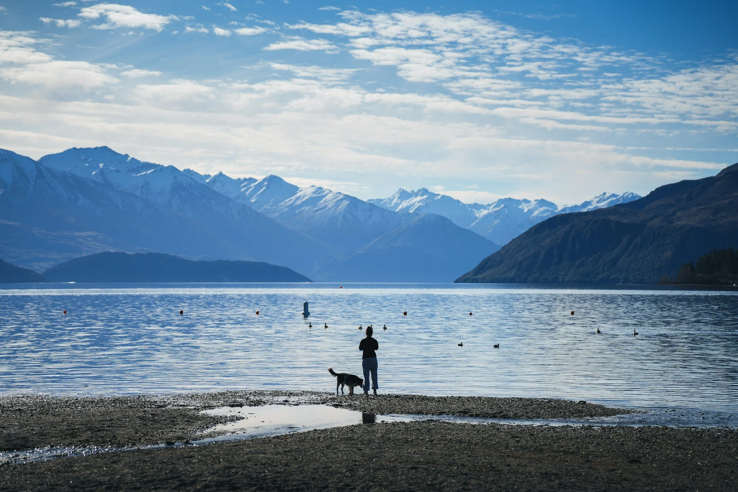 standing on the beach with your best friend dog