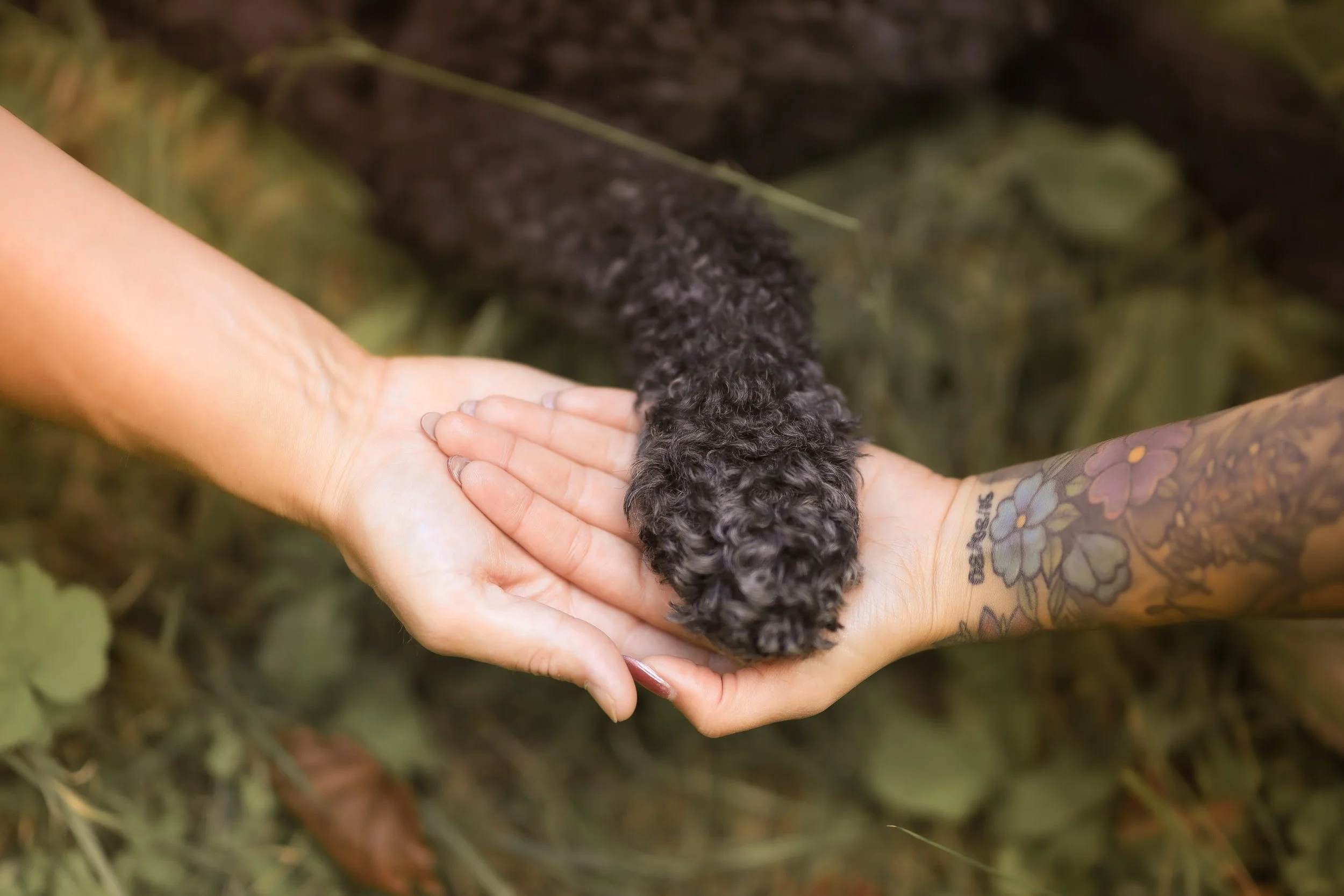 Shay Marc and Abby holding hands and paw