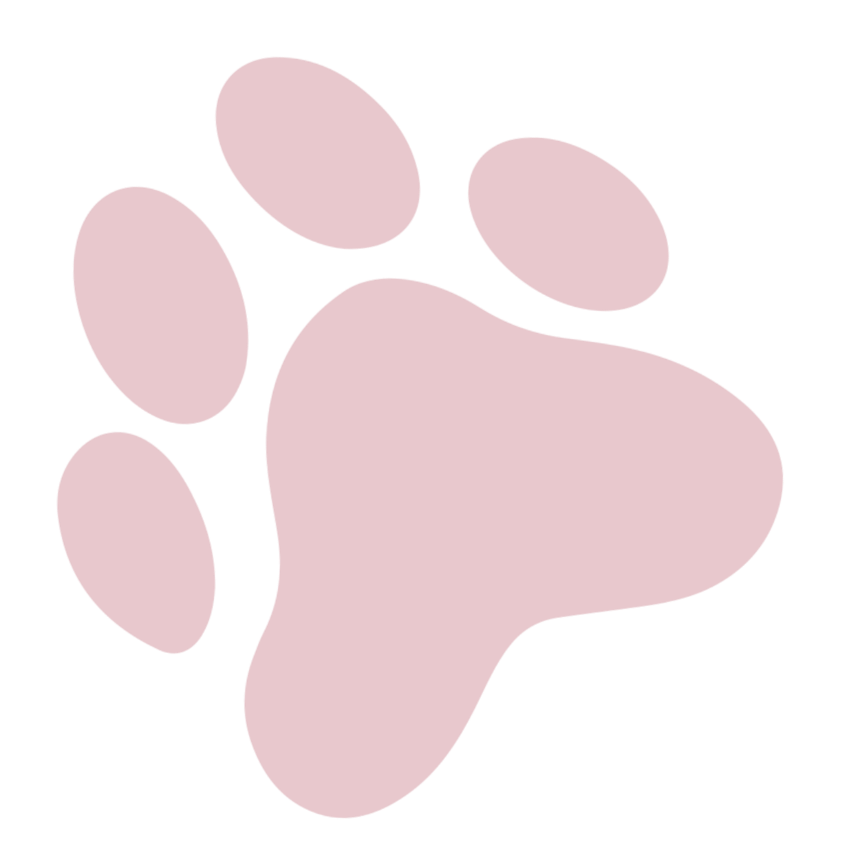 Pink paw print